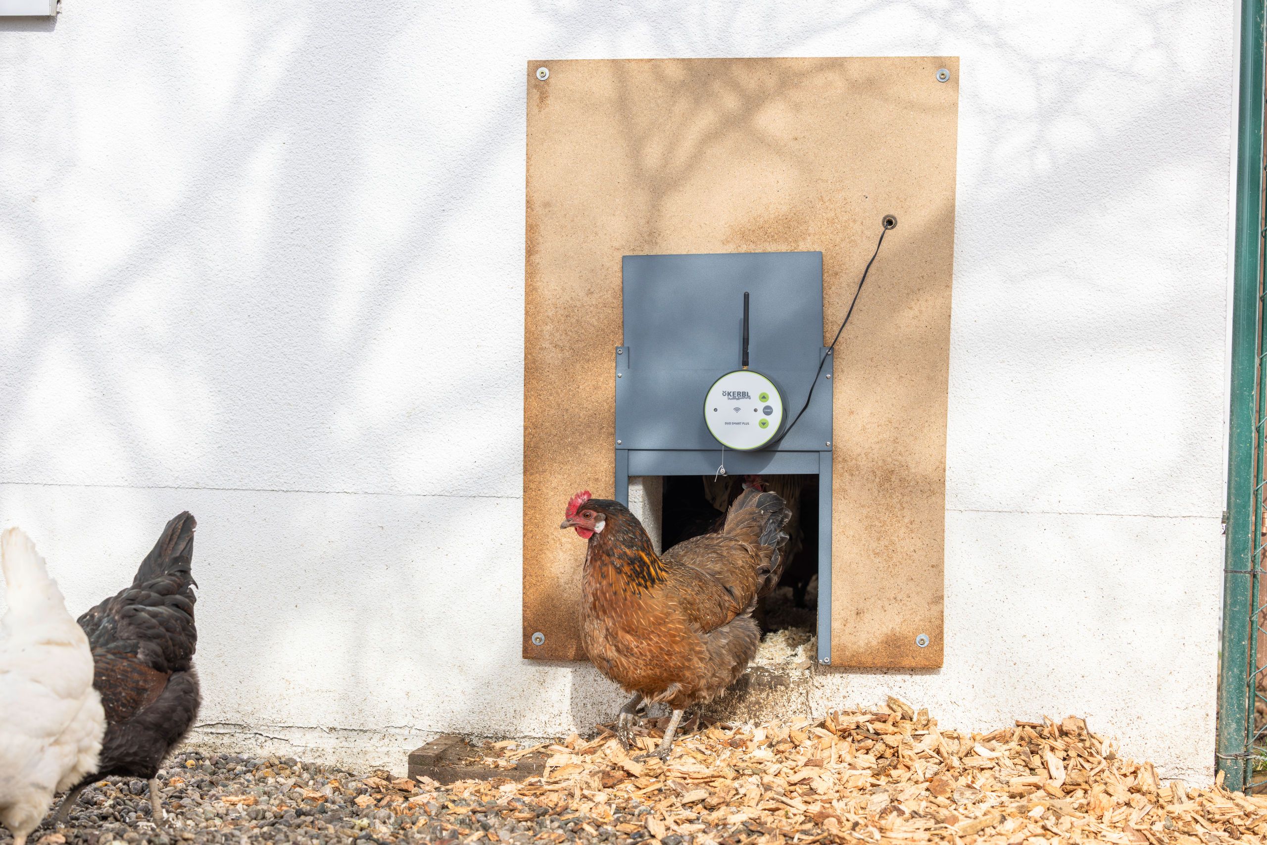 chicken coop, hen house, wooden board, feeder, outdoor enclosure