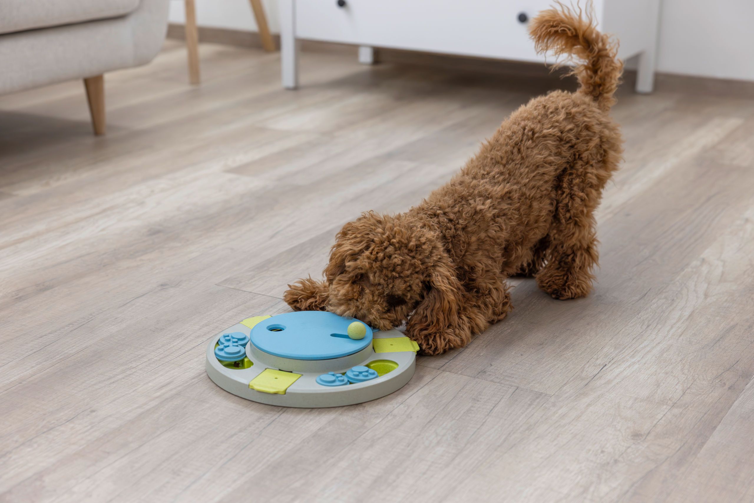 Kerbl Pet Intelligenzspielzeug Turnley Drehteller, Ø 27 cm