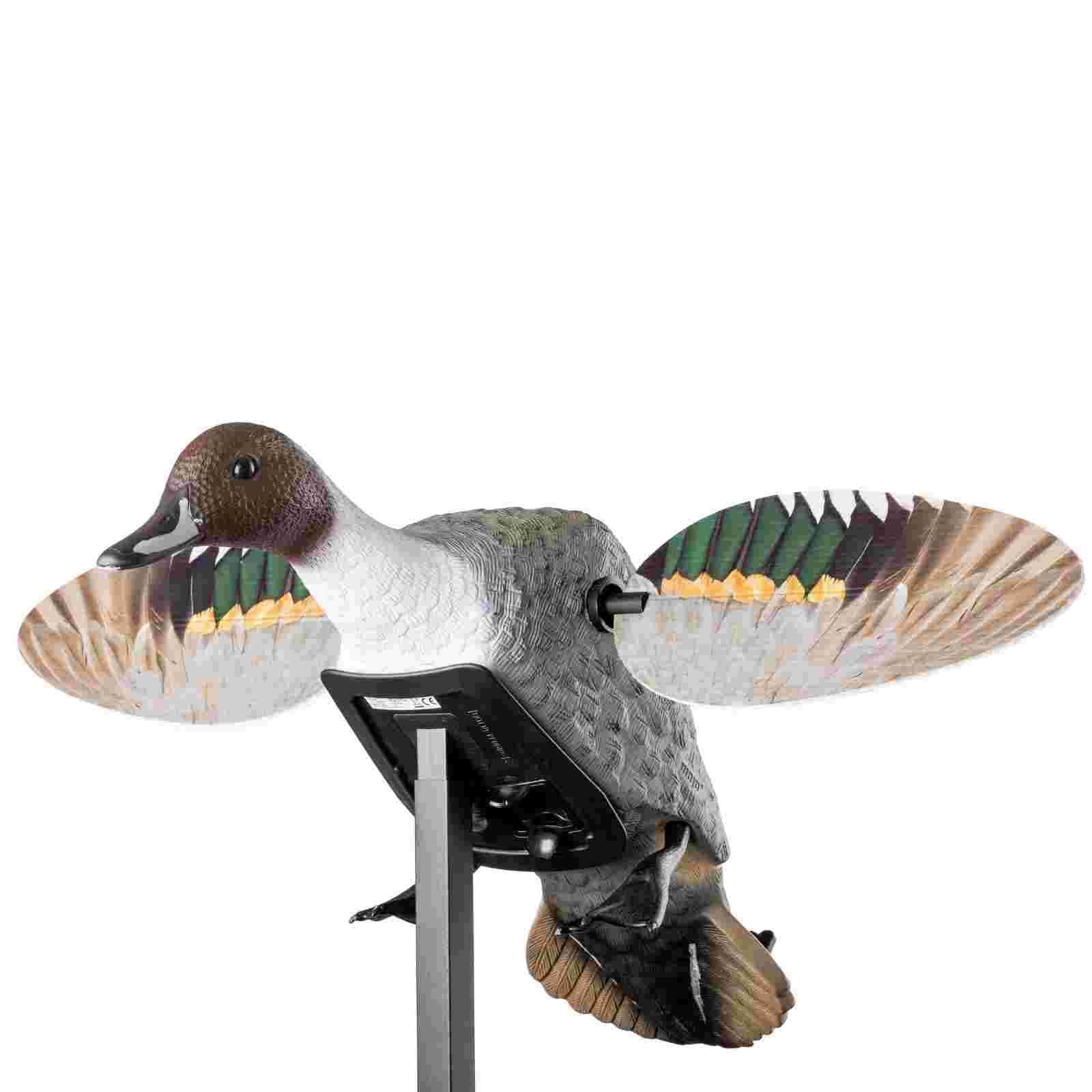 Mojo ES Pintail Vogelattrappe