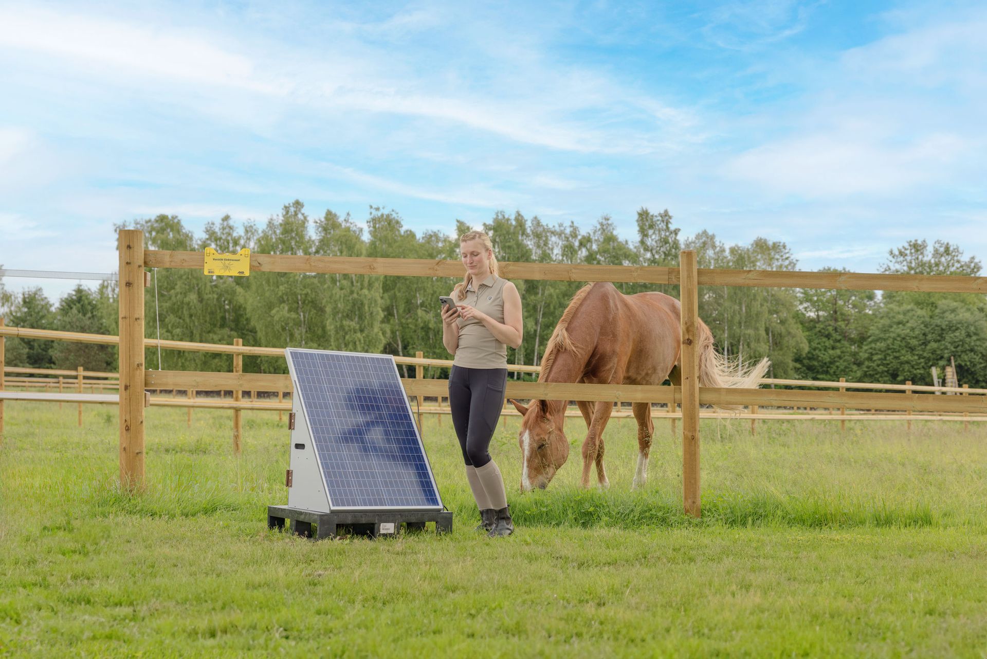 Set complet aparat gard electric solar AKO SolarStation L Smart, 12 V, în utilizare, pe pășune