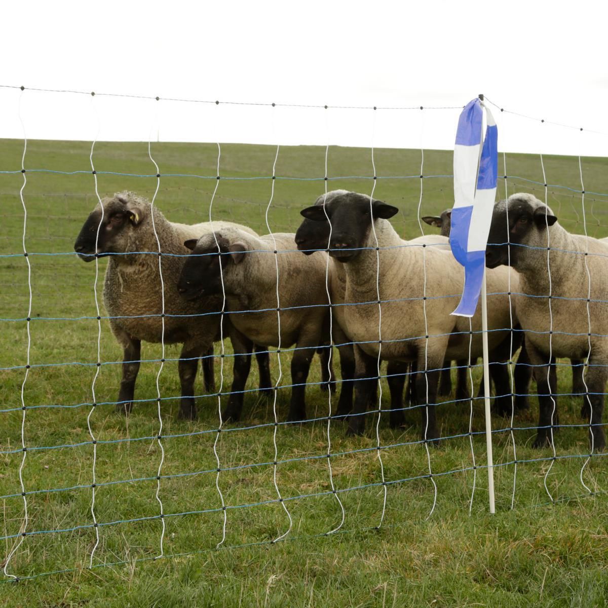 Filet anti loup AKO OviNet Maxi électrifié 50 m x 122 cm