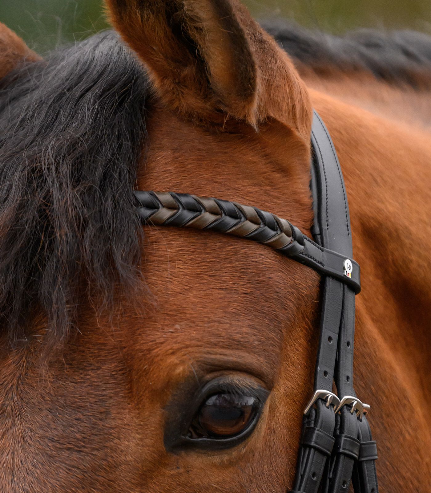 Waldhausen X-Line Stirnband Braided – geflochtenes Leder, gerade Form