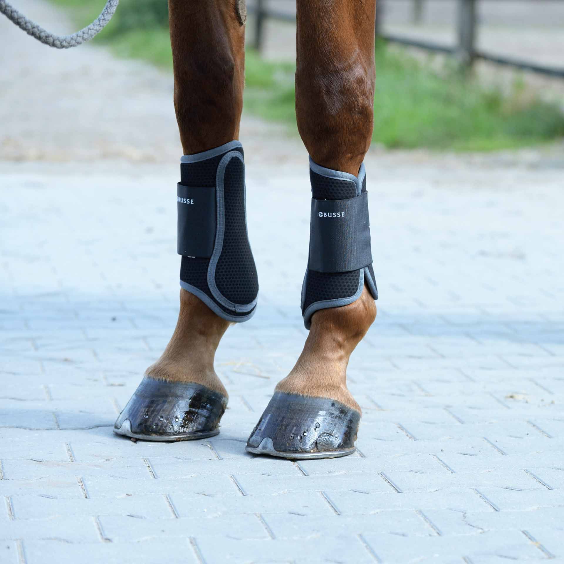 BUSSE Gamaschen ACTIVE-MESH, atmungsaktiver Beinschutz für Pferde, S schwarz/grau