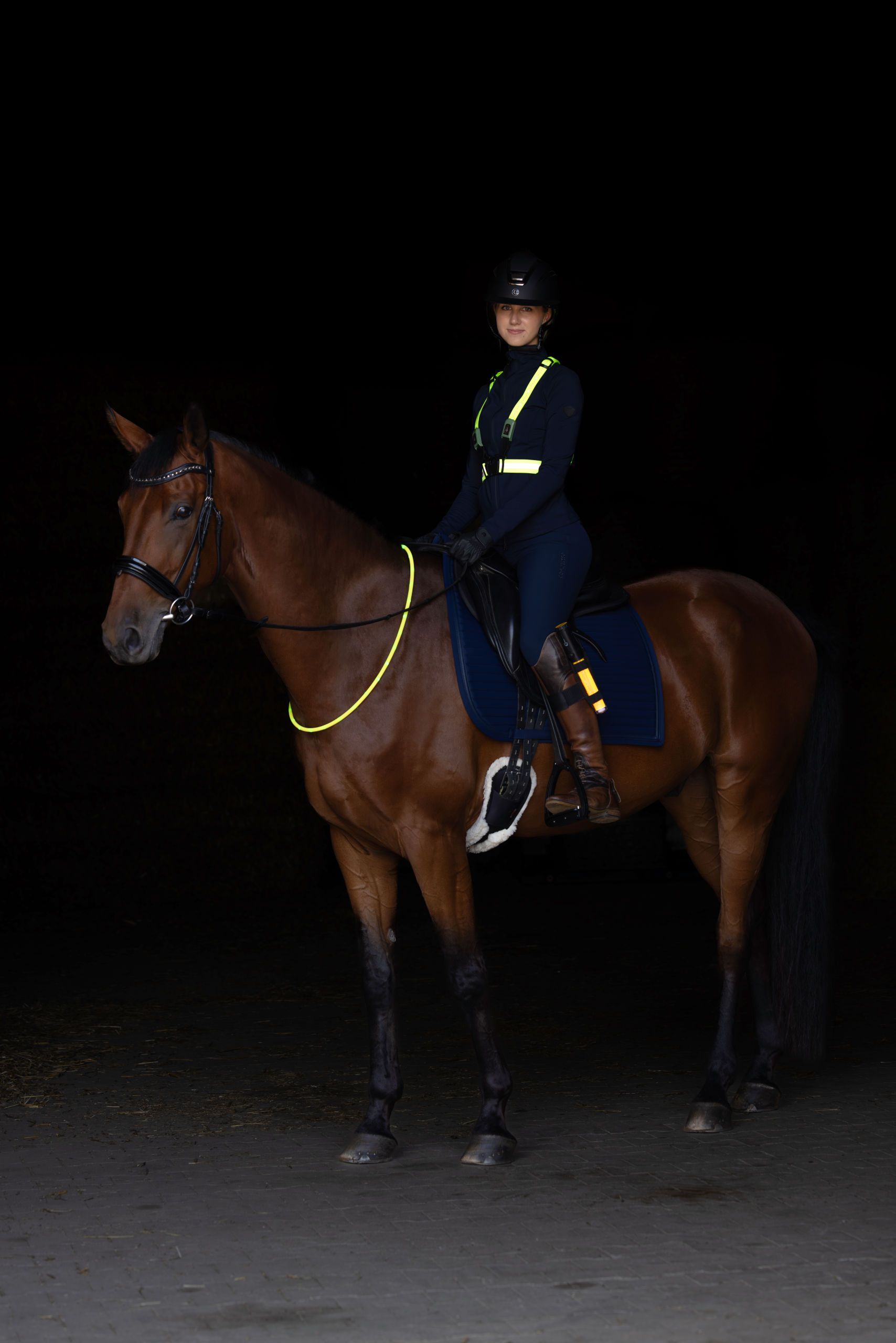 equestrian, horse, rider, dark, reflective-gear