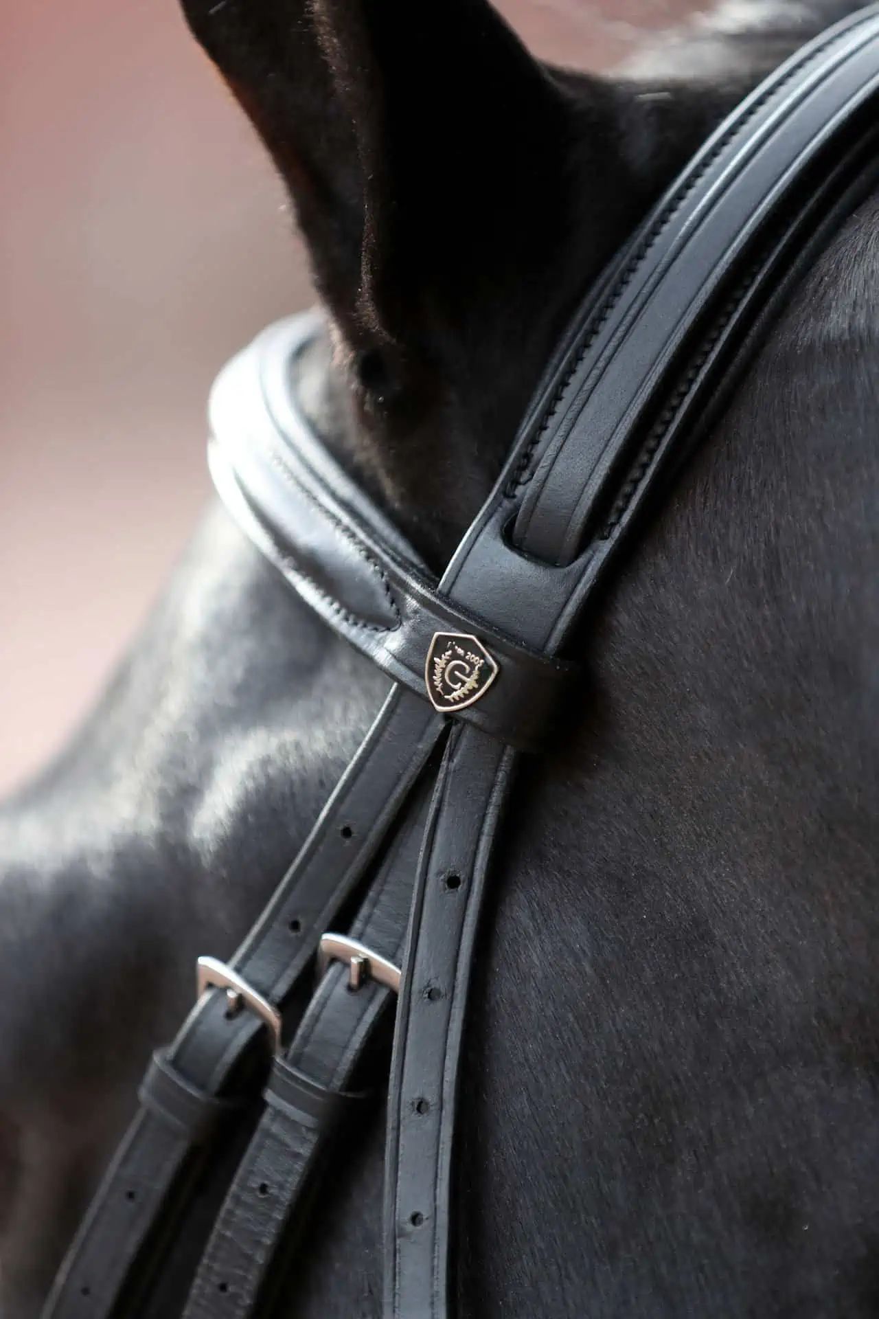 Covalliero Trensenzaum Cancun mexikanisches Reithalfter, schwarz, Pony