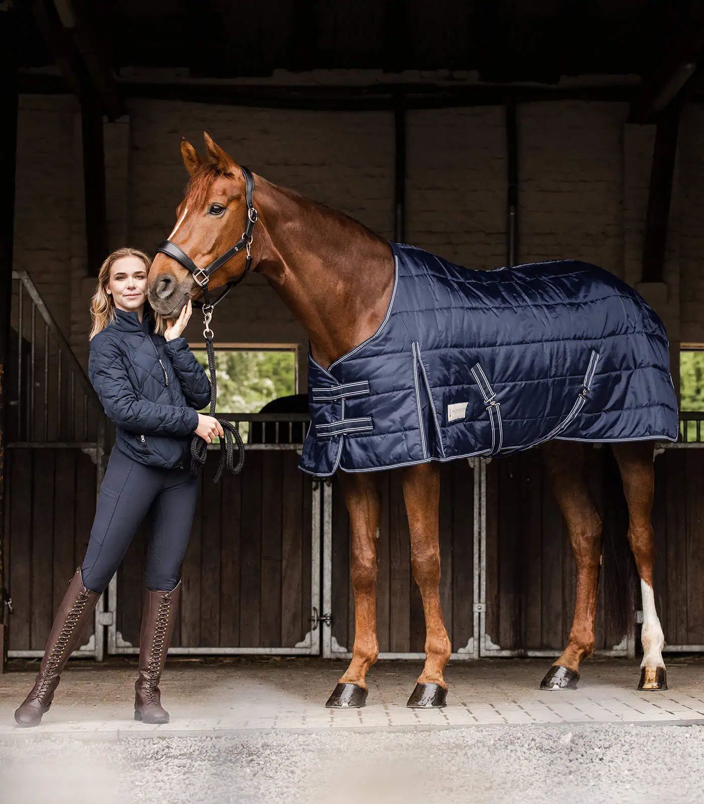 Waldhausen ECONOMIC Stable Rug 100 g, Thermal Padding, Between-Seasons, in use