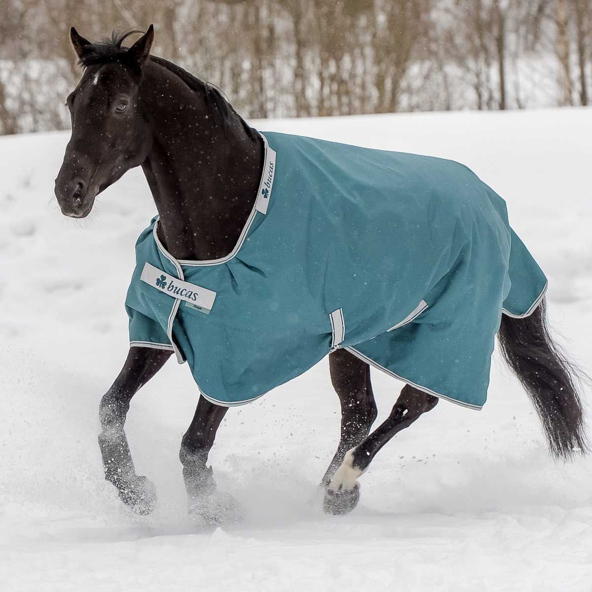 Couverture cheval Bucas Atlantic Turnout 200g 135