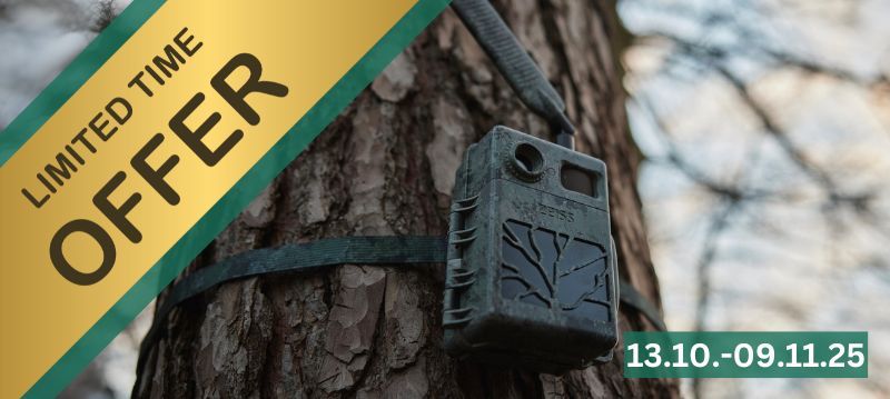 Surveillance Camera Saleweeks