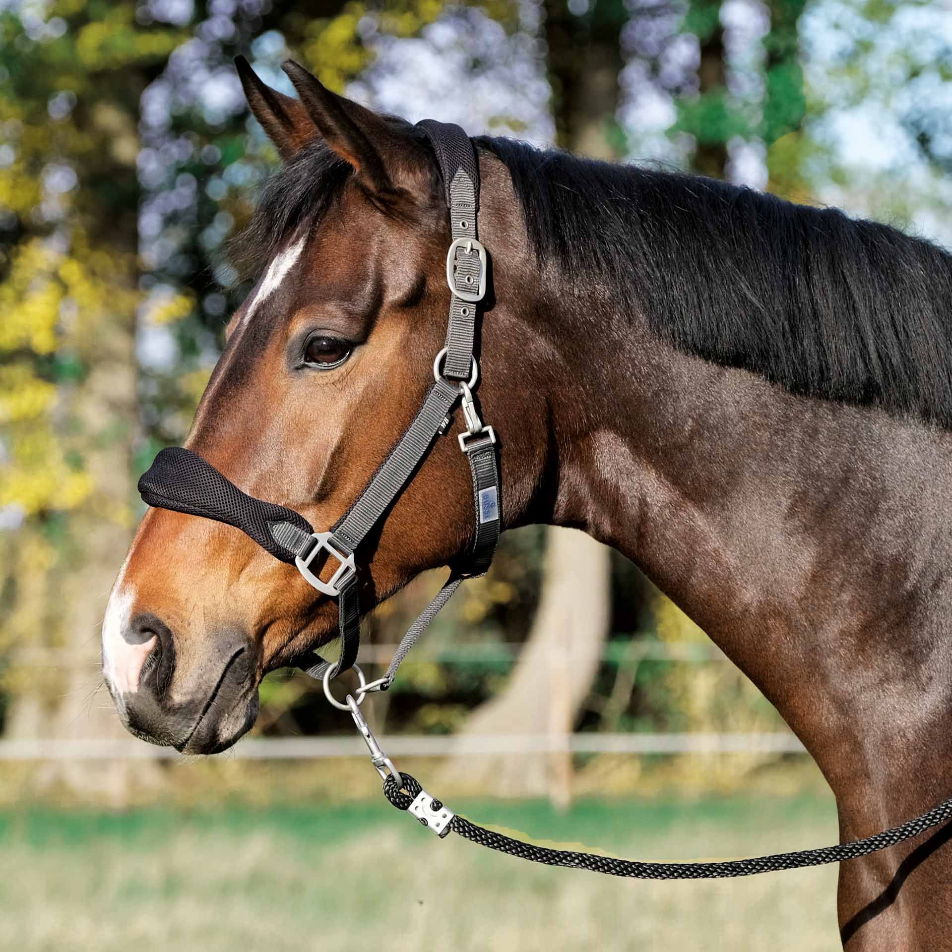Licol BUSSE SOFT AIR, Licol Sanglé Rembourré Filet 3D, Pony gris