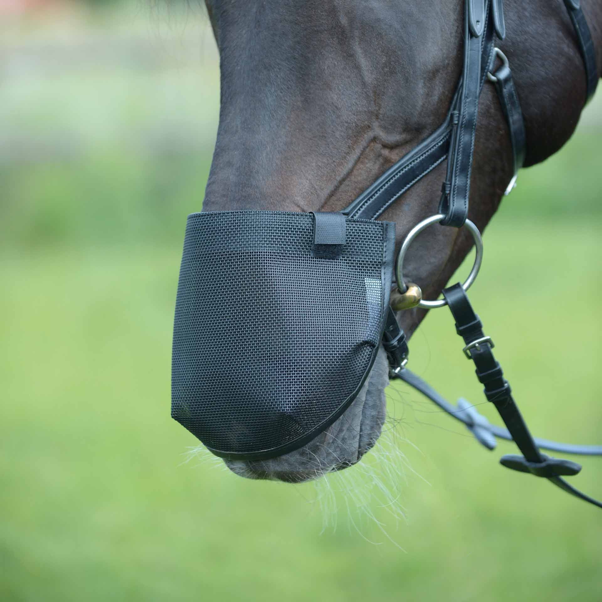 BUSSE Nostril Cover FLY PROFESSIONAL ANATOMIC, Horse Nose Protection, M (G-Pony)