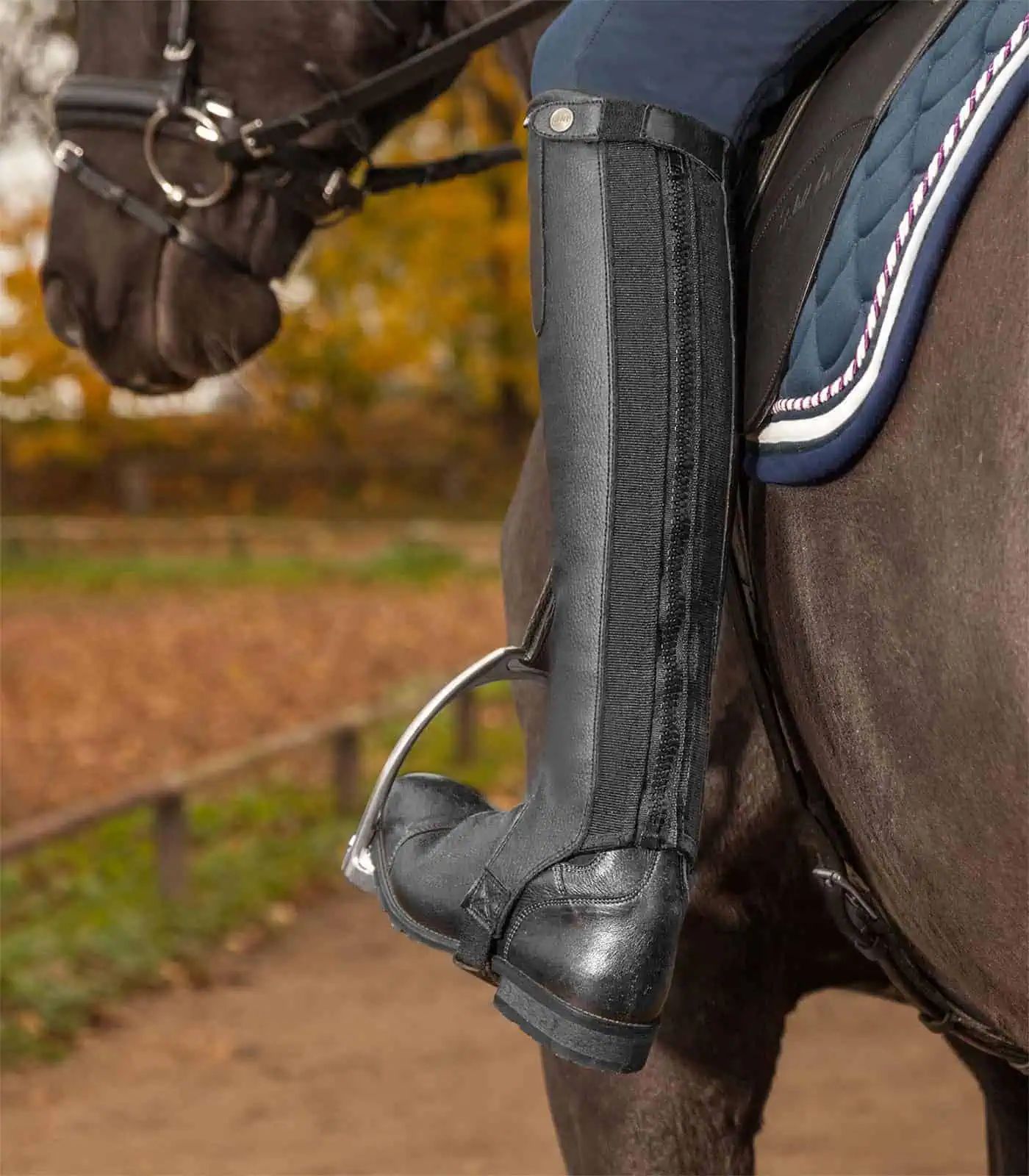 ELT Mini Chaps Exclusive, elastische Reitchaps mit Lederbesatz, schwarz, MXW