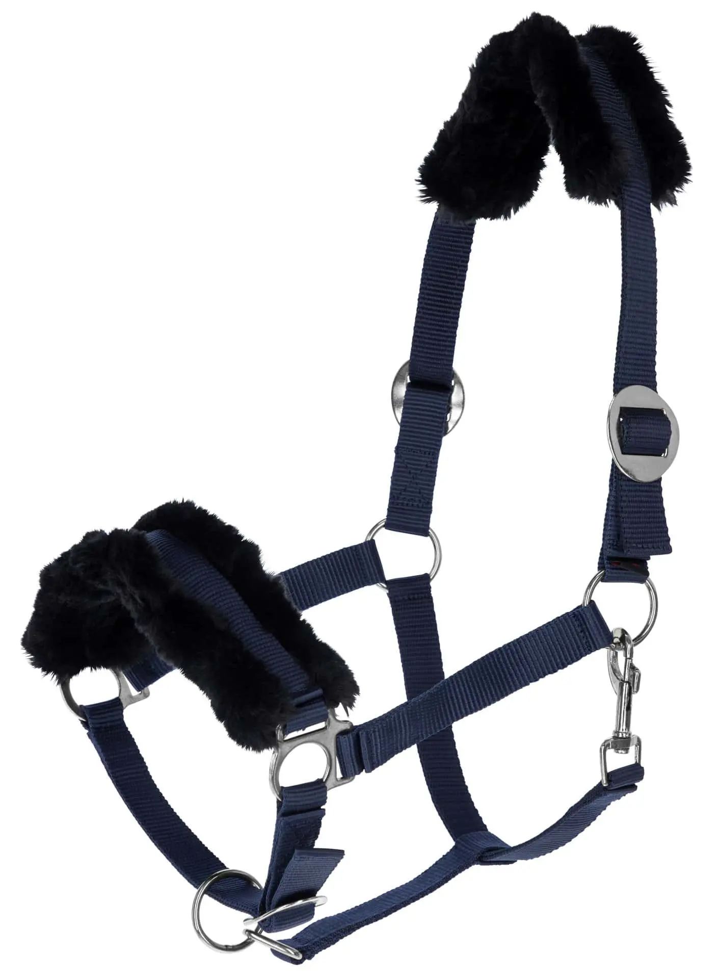 Covalliero Halfter classsoft