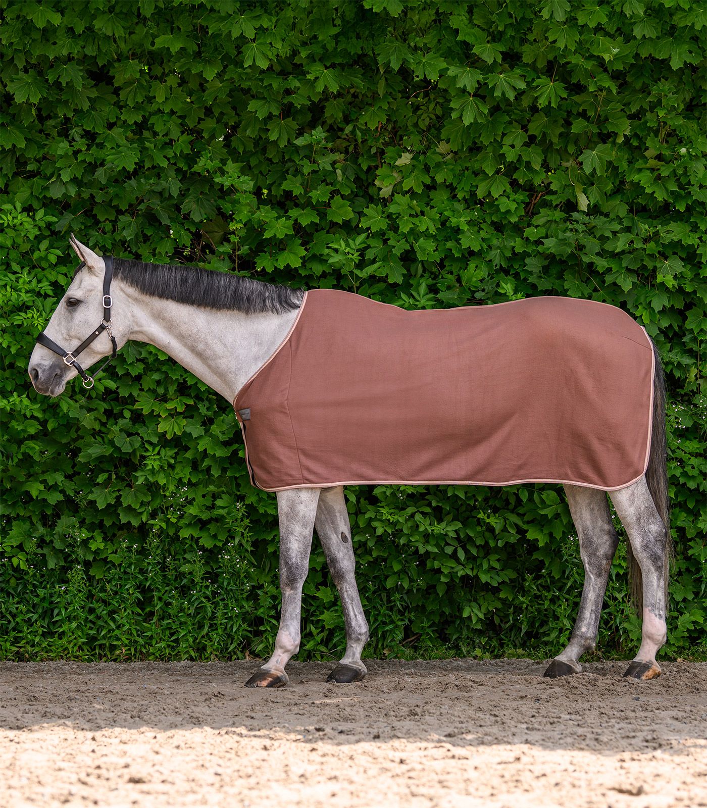 pferd, pony, decken, pferdedecke, stalldecke