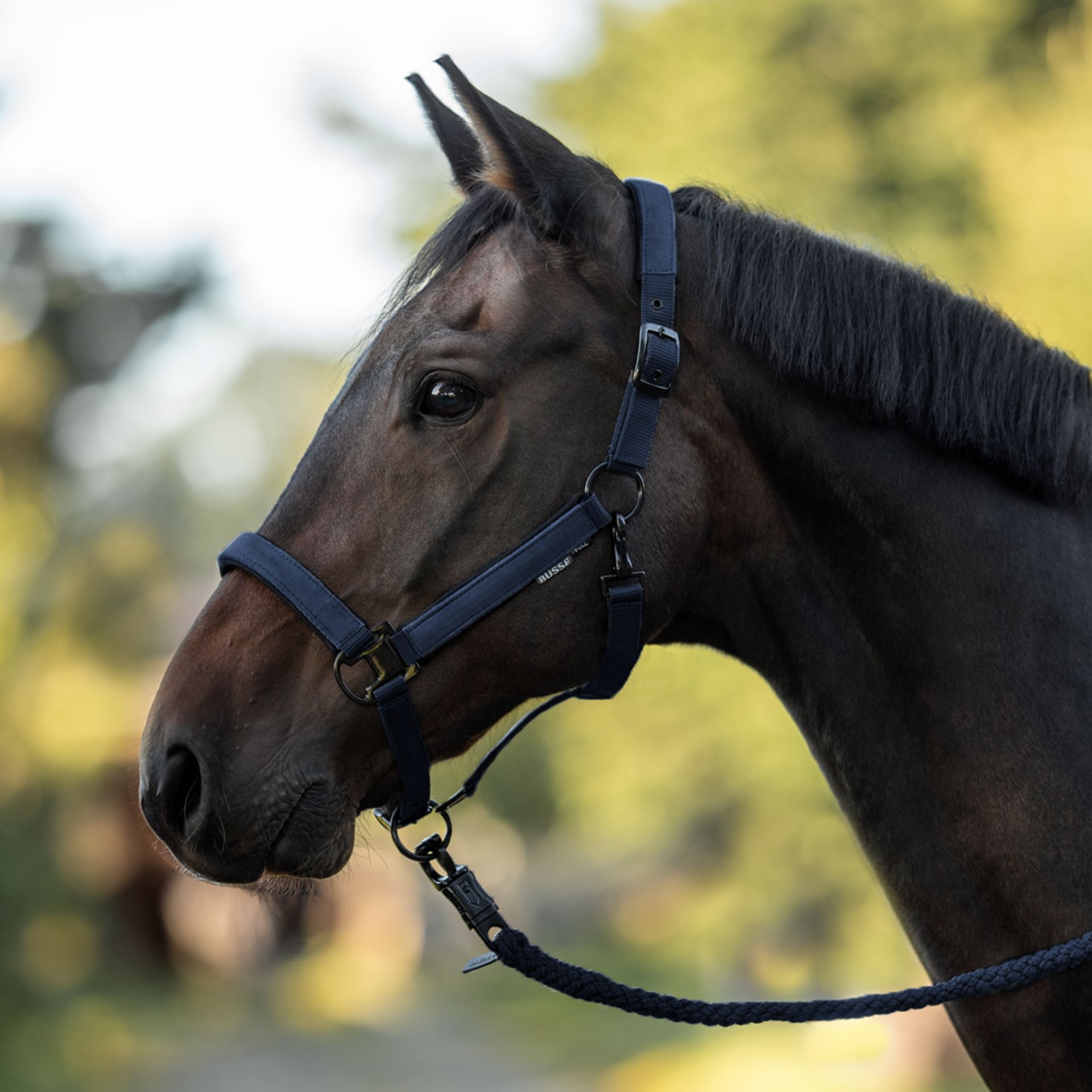 BUSSE Halter Juina navy
