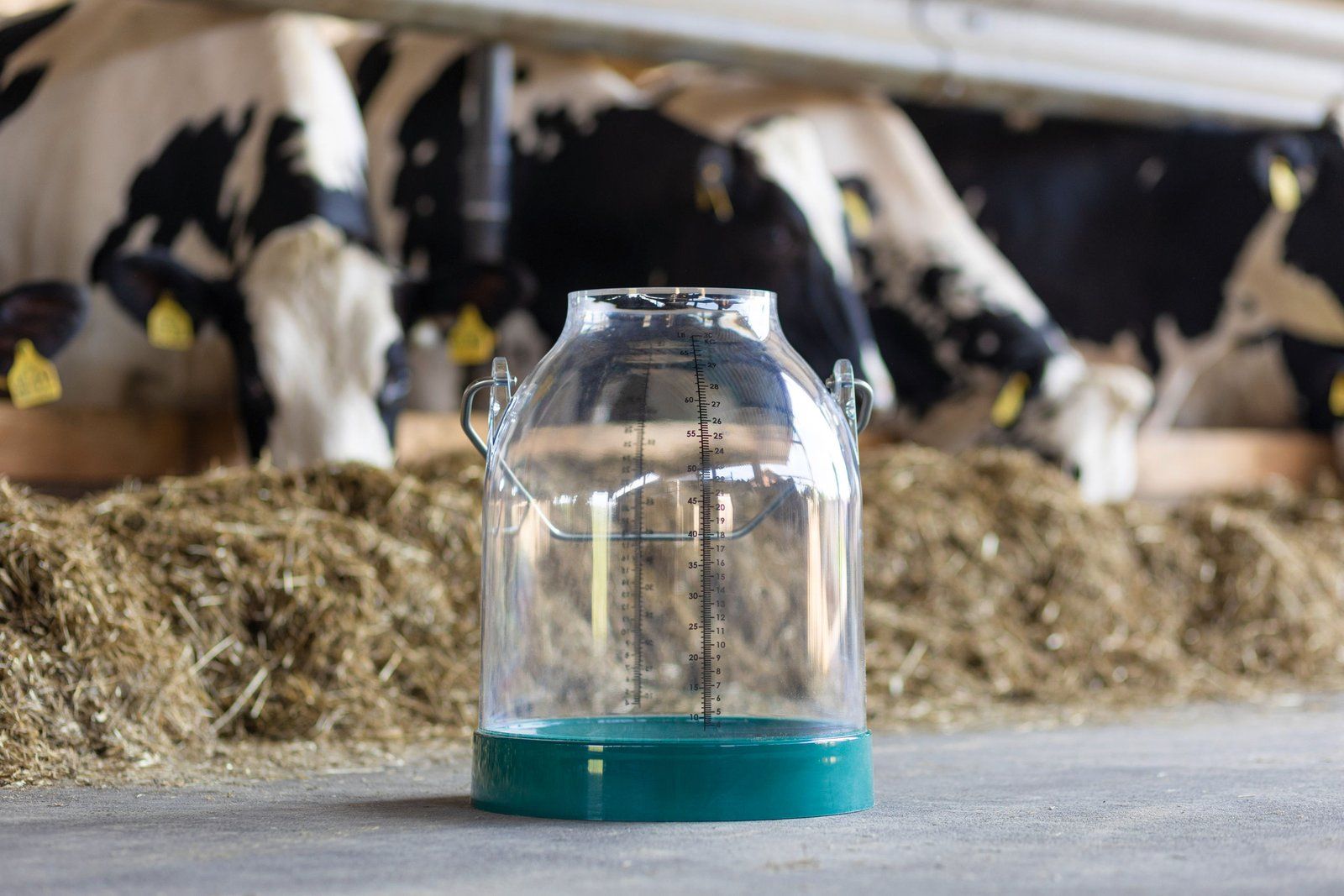 Kerbl Plastic Milking Pail 30 L, Handle Height 143 mm, green
