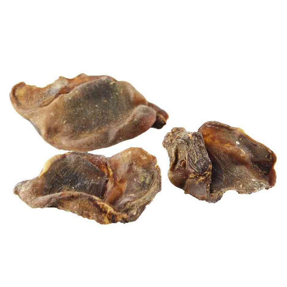 Tugga på kycklingmagar