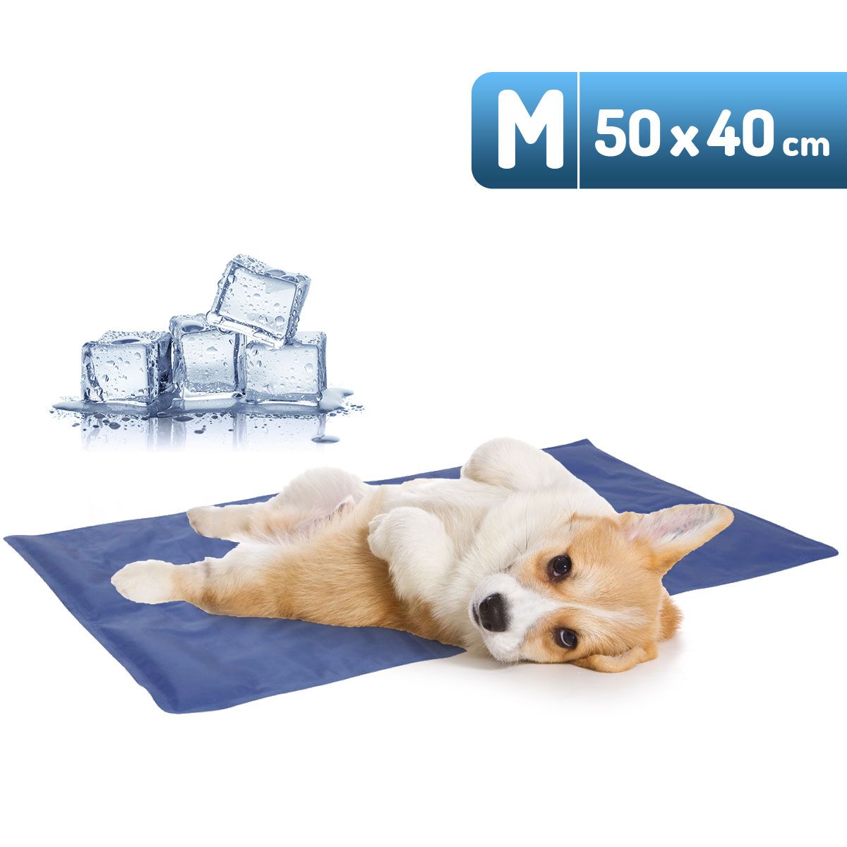Tapis rafraîchissant pour chiens, en utilisation