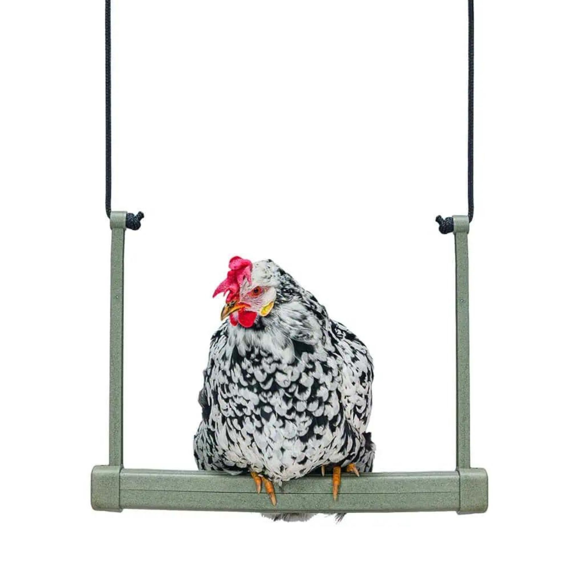 Giocattolo Per Cani - Gallina In Lattice Con Squeaker | Lunghezza 23 Cm | Divertimento E Intrattenimento Per Animali - Foto 11