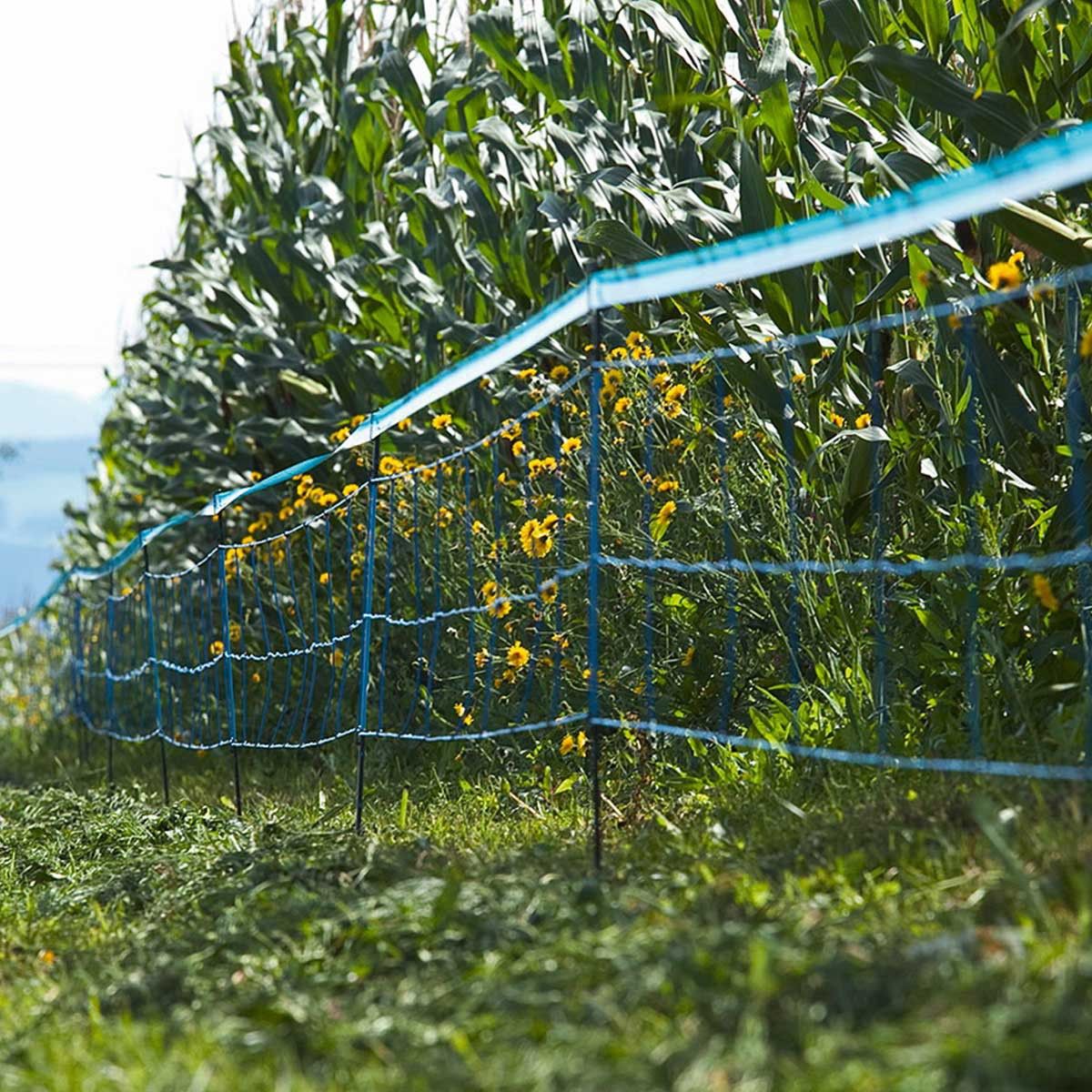 Plasă anti-mistreți WildNet AKO 50 m, electrificabilă, în utilizare, pe pășune