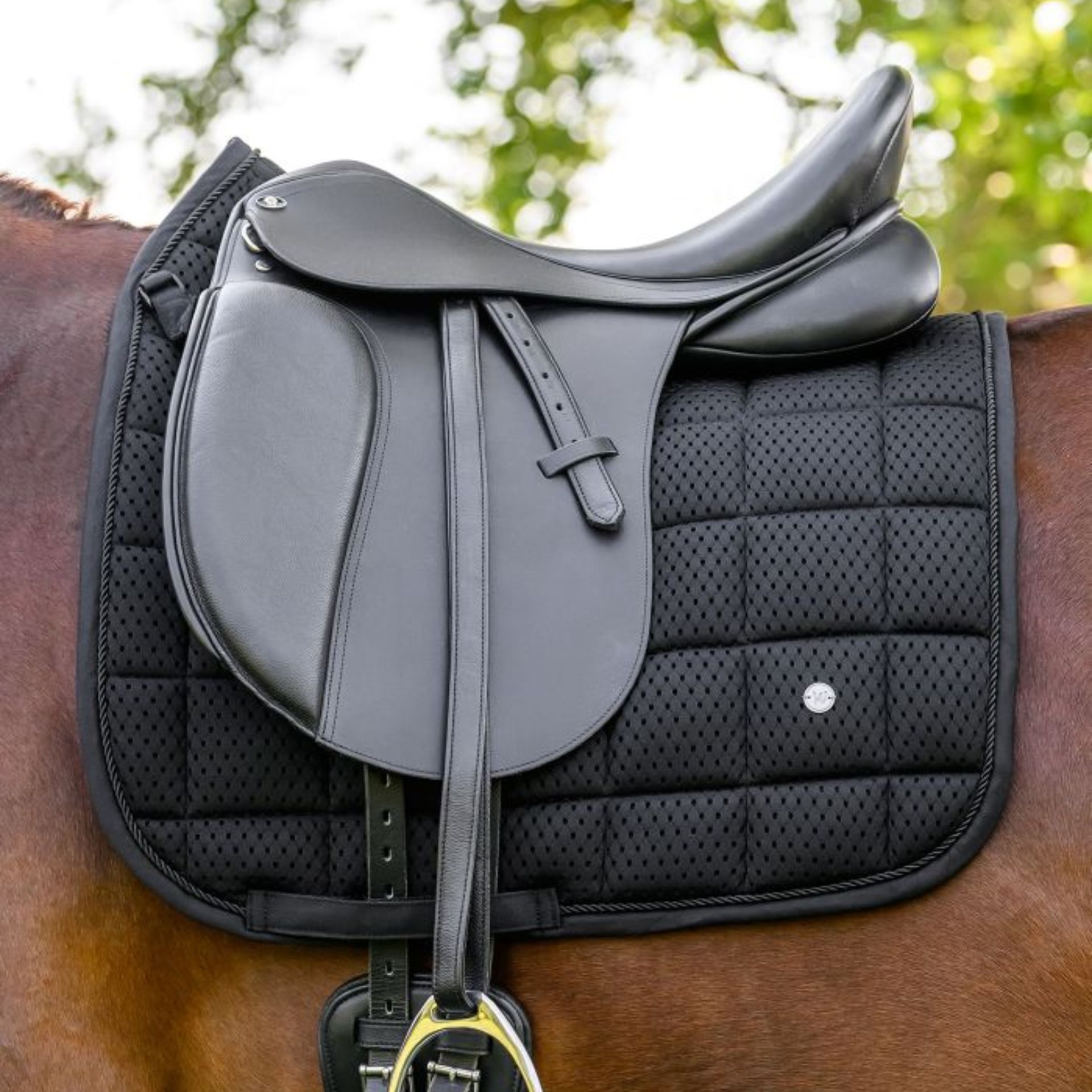 saddle, equestrian, girth, stirrups, pad