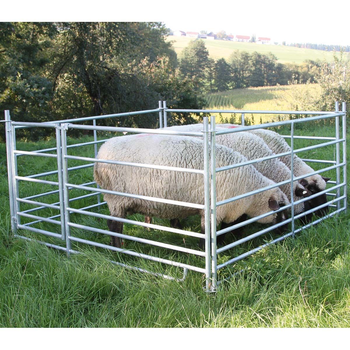 4x plug-in flock för får Fårpanel med grind 1,83 x 0,92 m