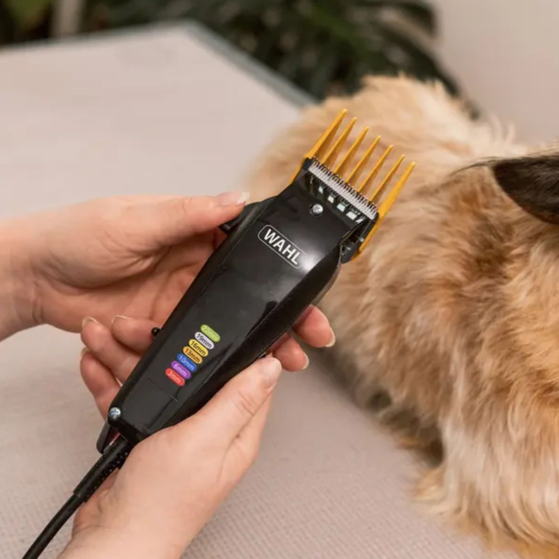 WAHL Tosatrice Multi-Cut per Cani e Piccoli Animali, in uso, in casa