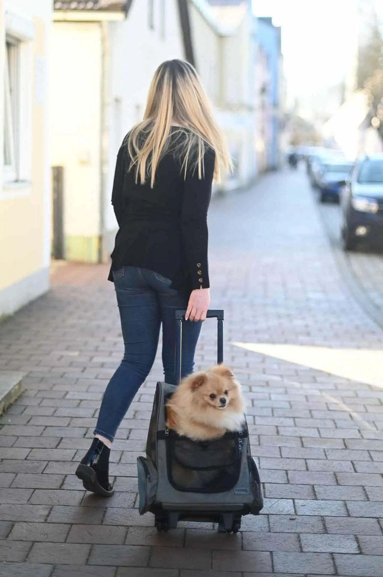 Trolley porta cani Kerbl Vacation, grigio/blu, 41 x 26 x 55/103 cm, in uso