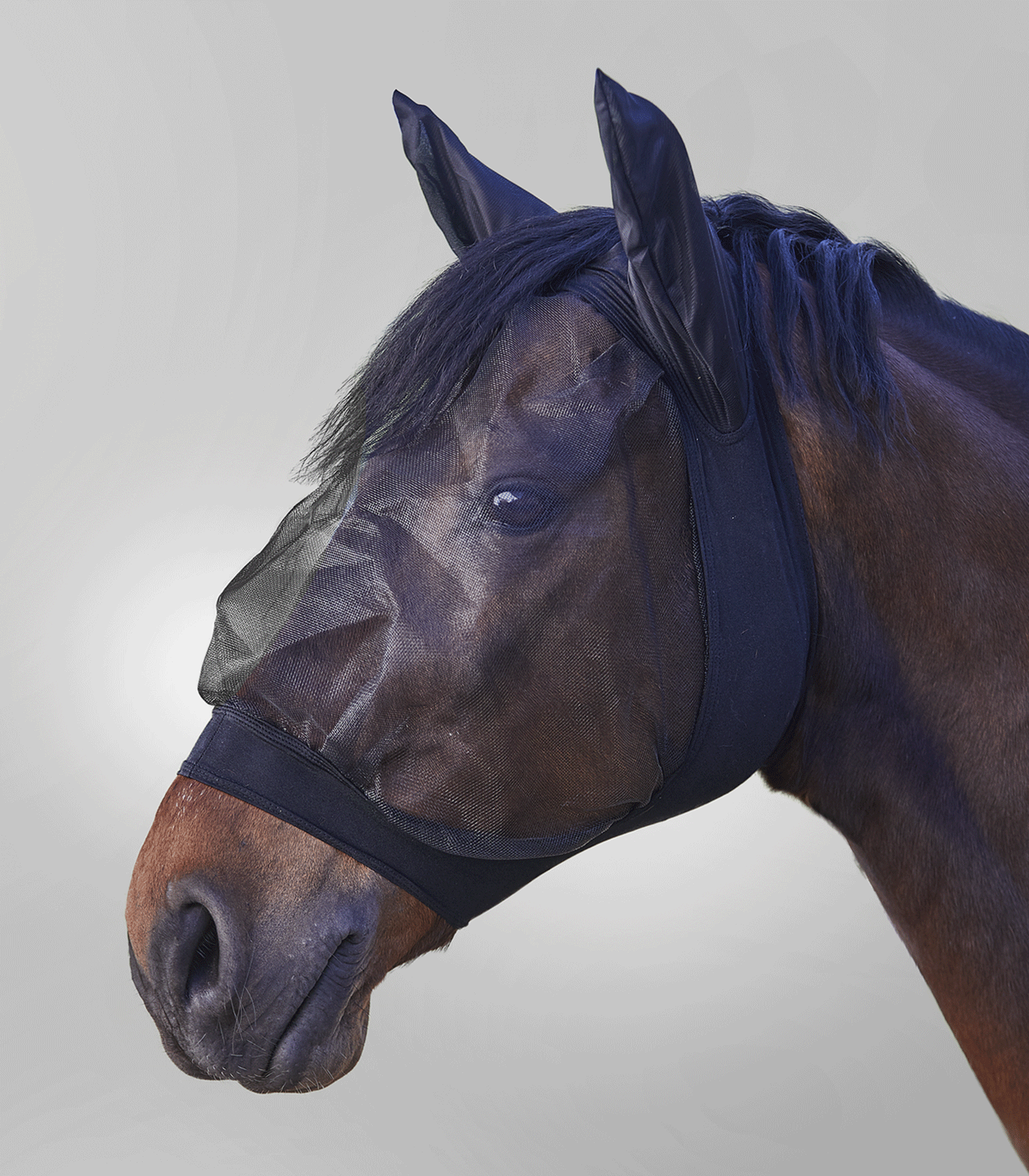 Waldhausen Fliegenmaske SKINNY, silbergrau, Rundum-Insektenschutz, im Einsatz