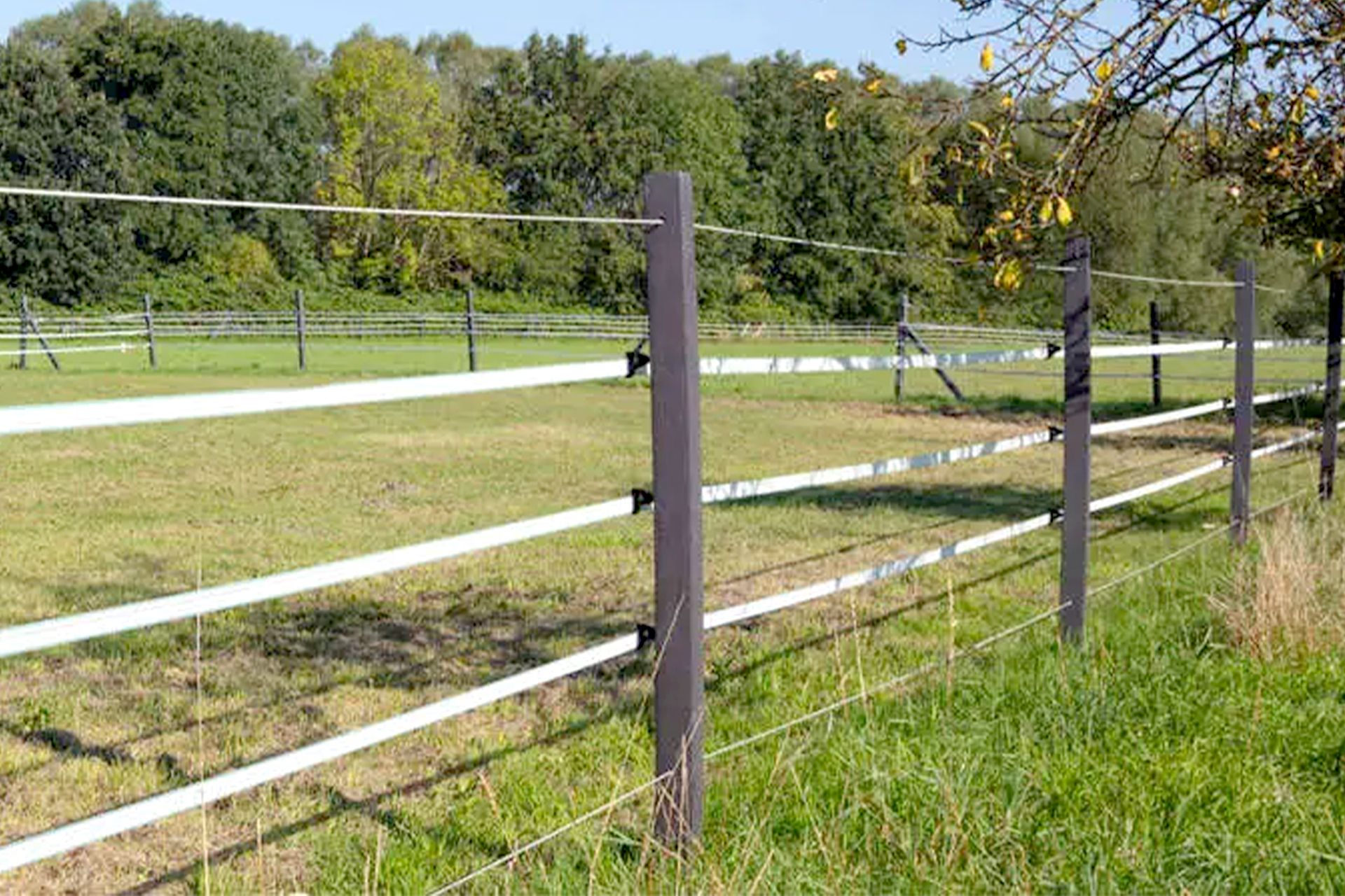 Weidezaun mit dunklen Pfählen und weißen Bändern auf grüner Wiese