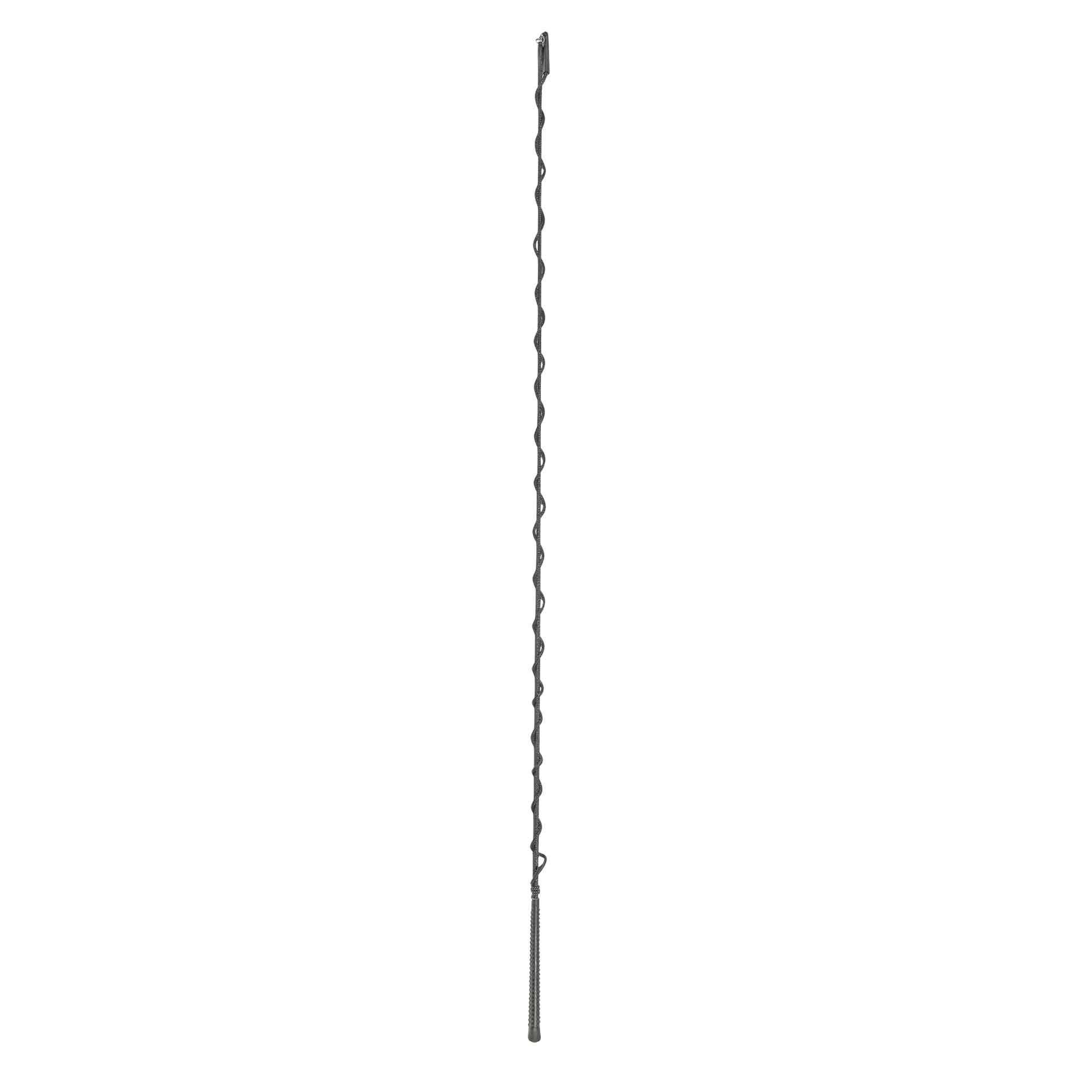 BUSSE Lunging Whip LANG 180 black