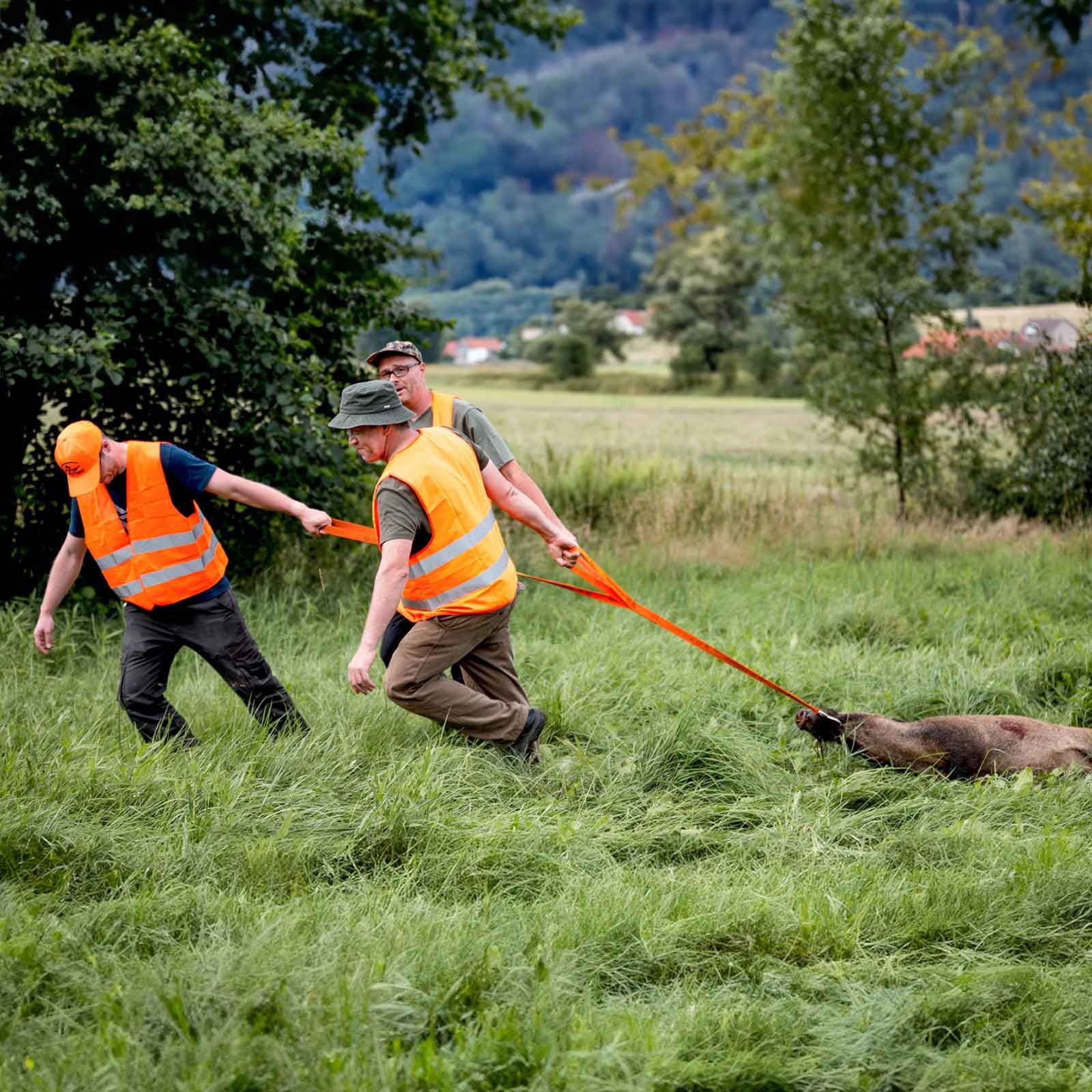 Dreizug Wildbergehilfe, im Einsatz