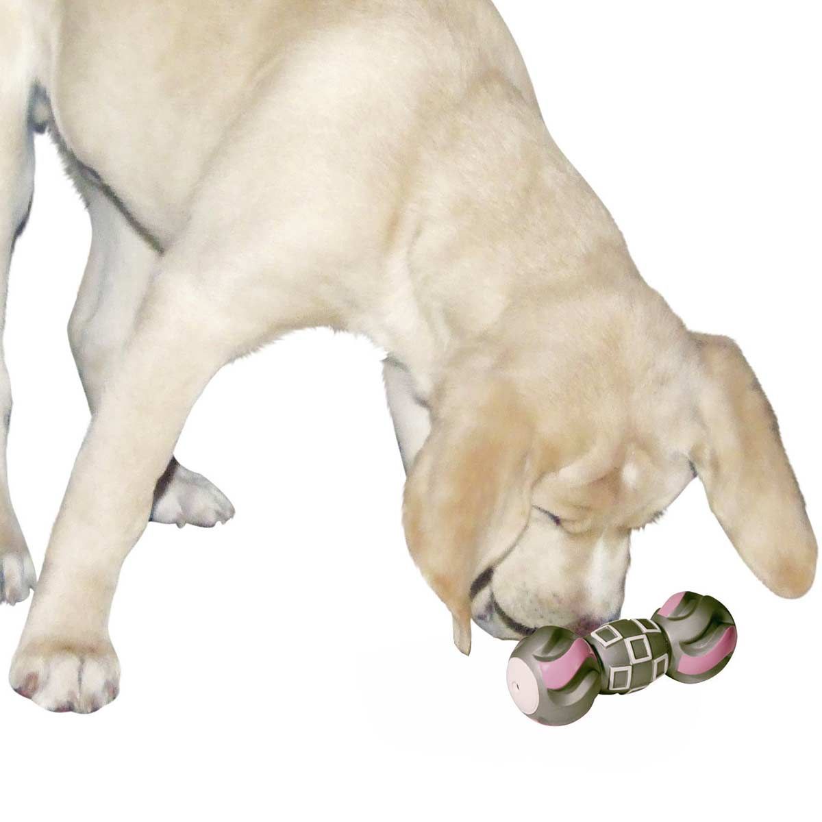 Jouet pour chien en vinyle Haltère avec squeaker 19 cm, en utilisation, dans la main