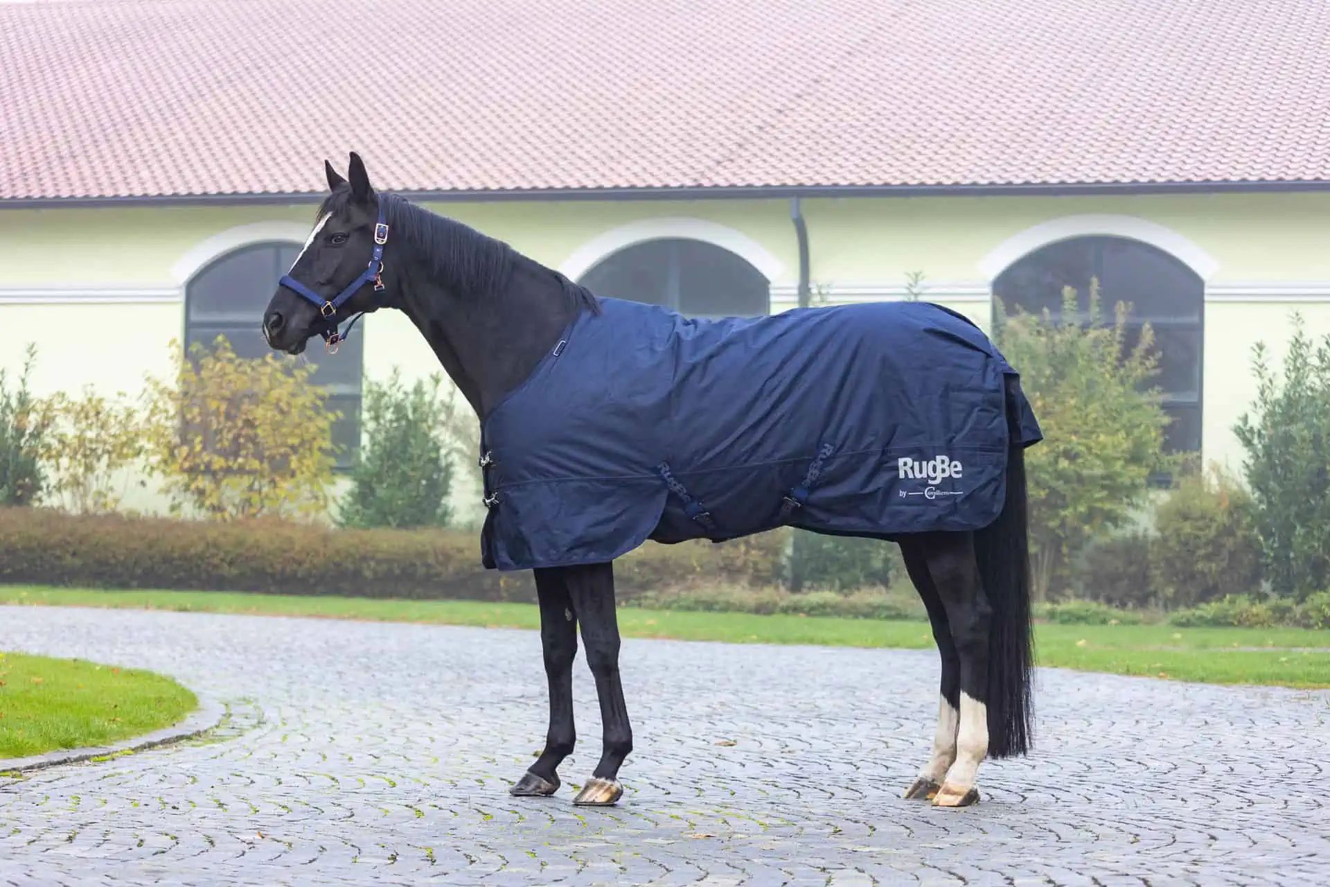 Couverture d'hiver pour chevaux Covalliero RugBe IceProtect 200 g, bleu marine, en utilisation