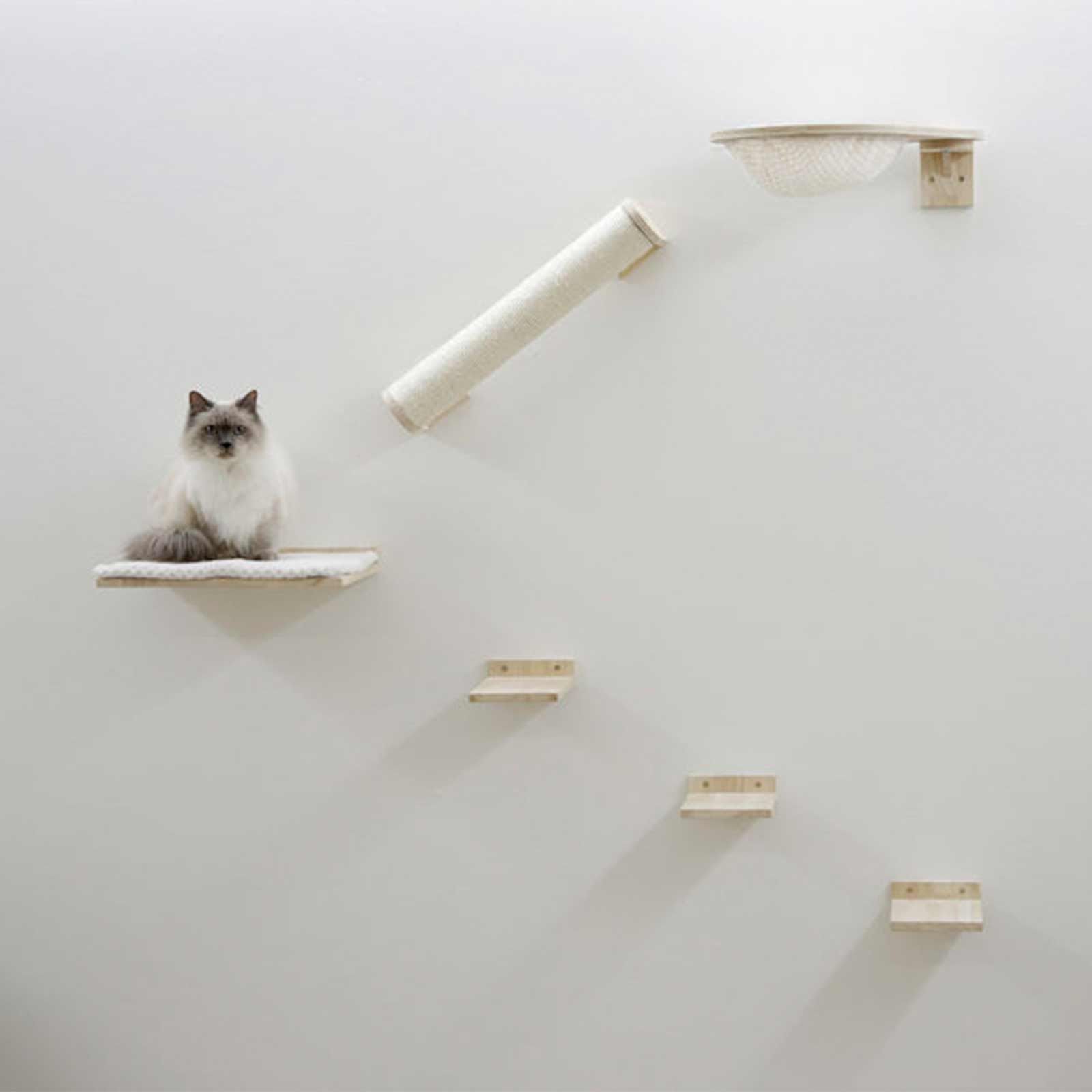 Katzen Kletterwand Rocky