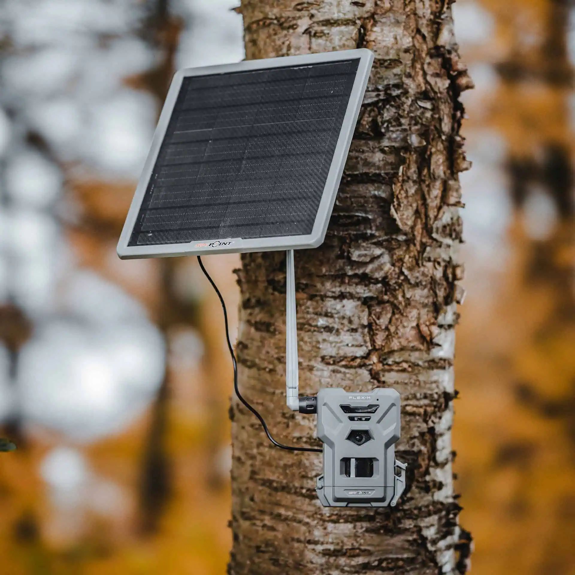 Spypoint Wildkamera Solar Flex-M & Solar-22 Set, 28 MP, im Einsatz, Solarpanel