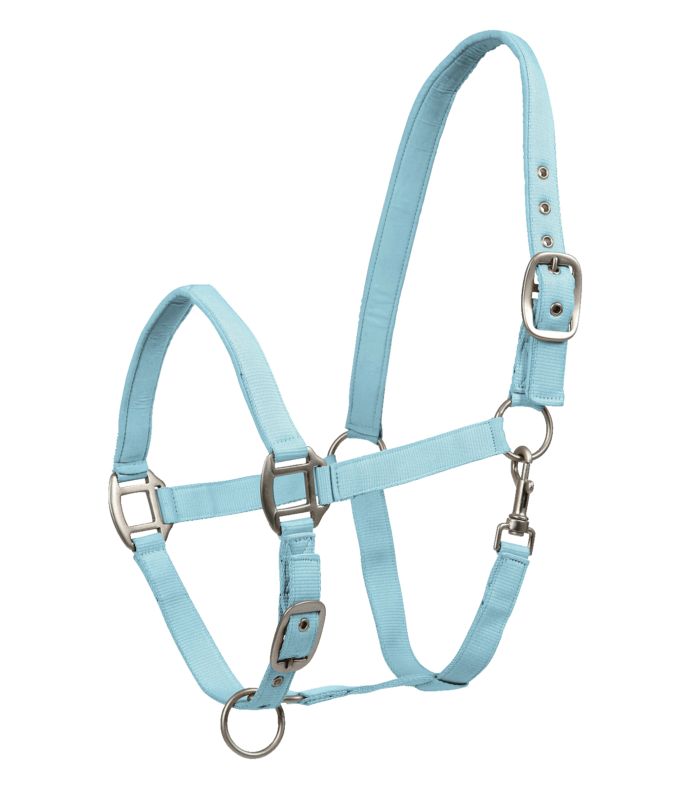 Halter, Tragriemen, Gurt, verstellbar, Metallbeschläge