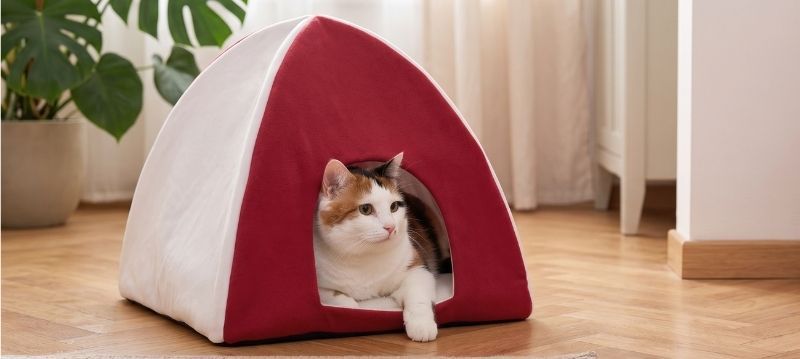 Cat Cave