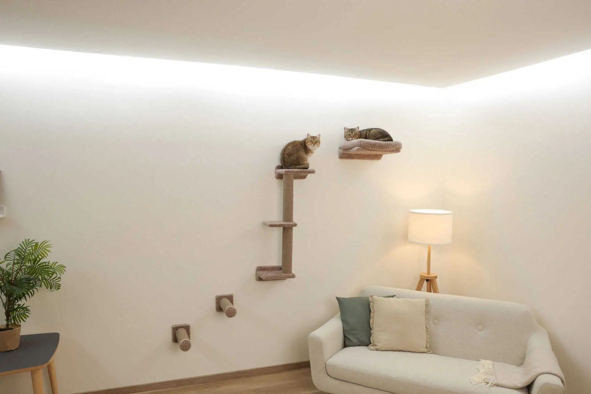 Mur d'escalade Kerbl Monte Alpi pour chats, 4 pièces, en utilisation, en intérieur