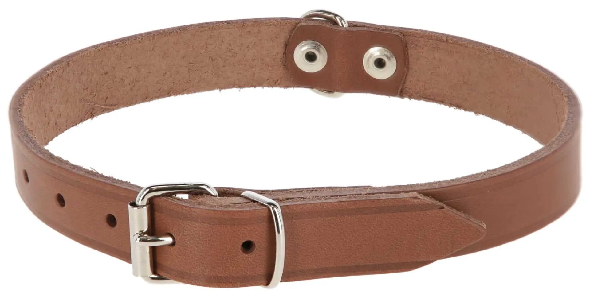 Kerbl Pet Mexica Dog Collar Riveted, Leather with Roller Buckle