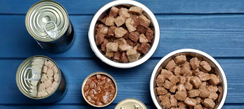 Nourriture humide pour chiens