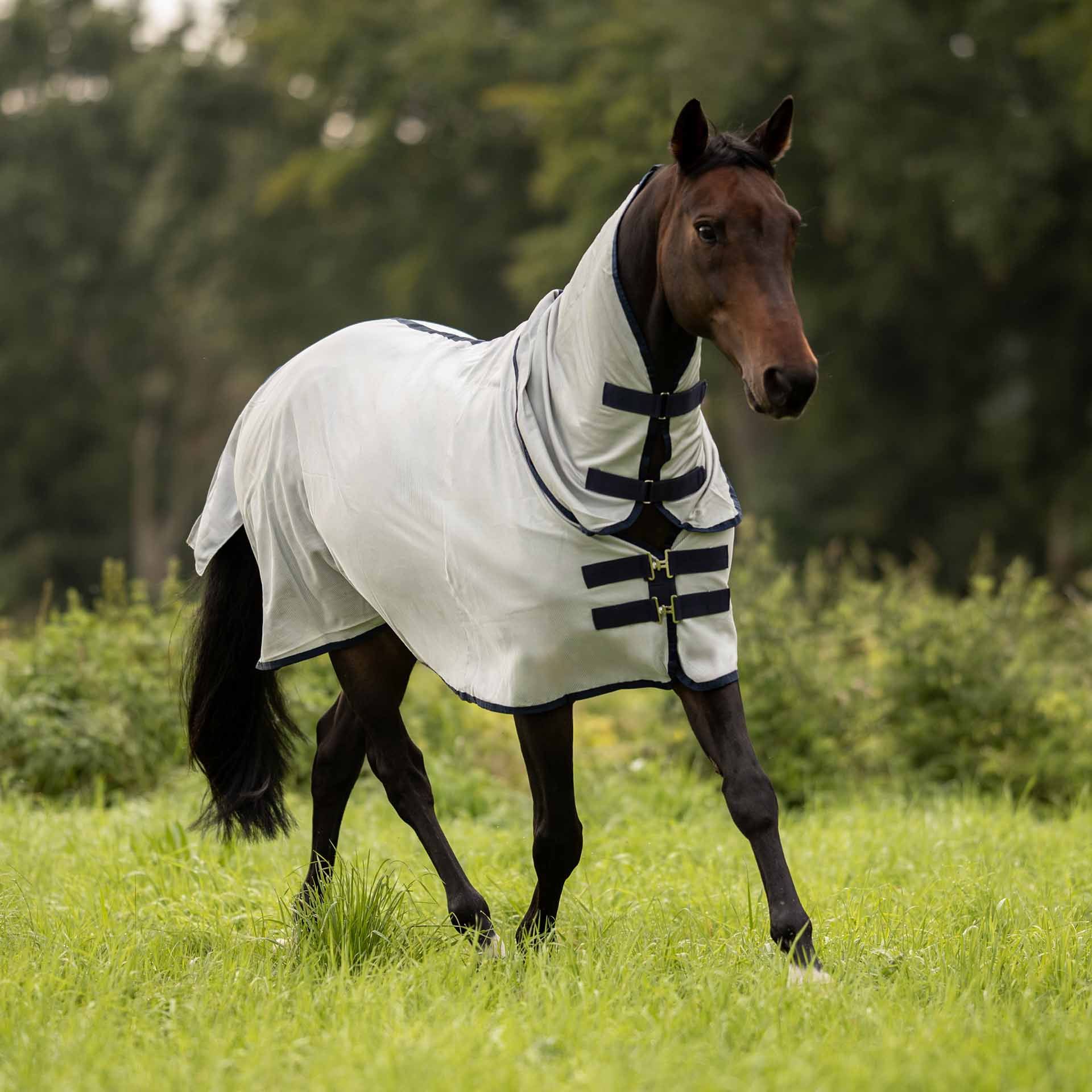 Couverture anti-mouches d'extérieur BUSSE COMFORT PRO