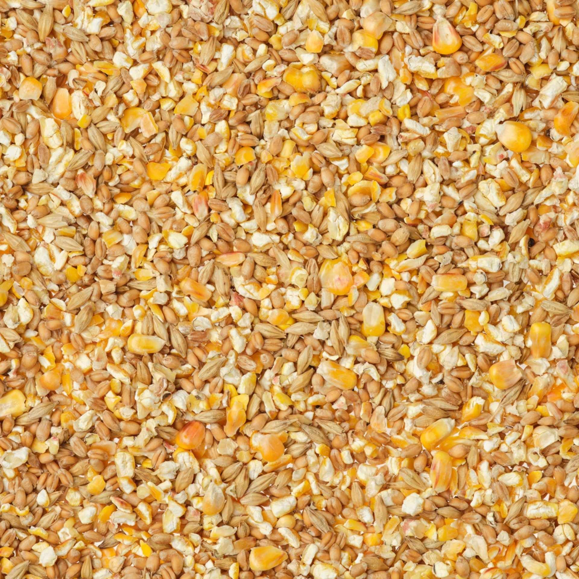 Agrarzone hrană boabe pentru rațe 20 kg