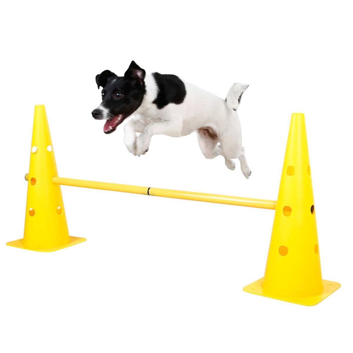Kerbl Set 3 Ostacoli Agility con Piloni, Altezza Regolabile, in uso