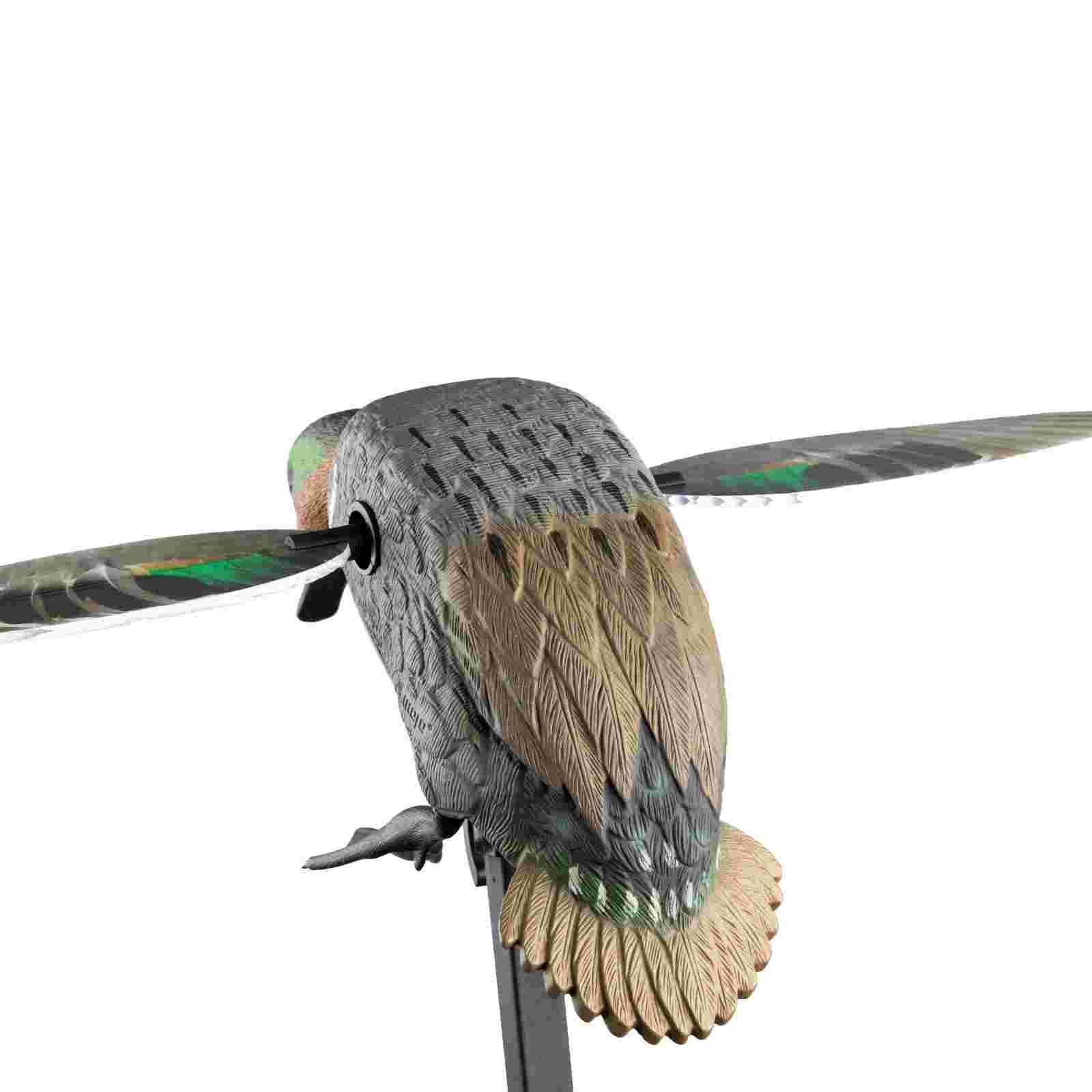 Mojo ES Green Wing Teal Vogelattrappe, Rückansicht