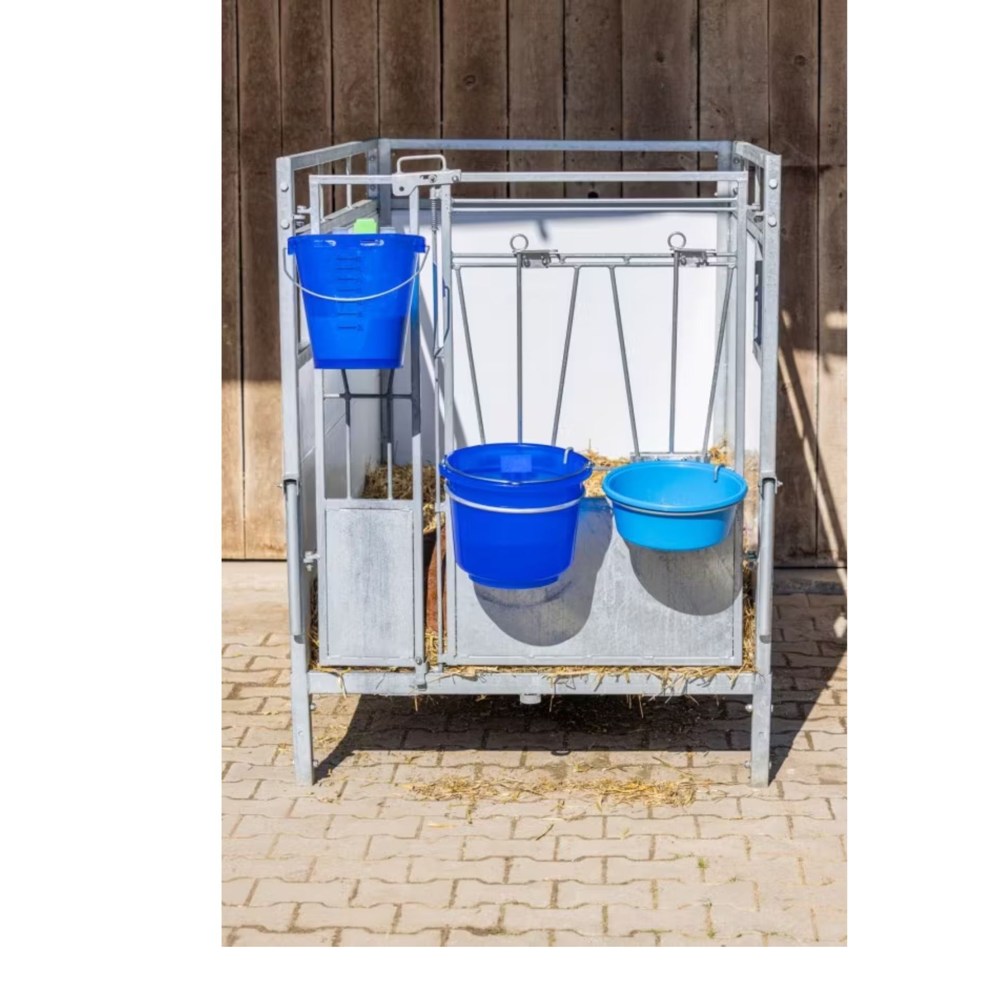 calf feeder, metal stall, blue bucket, hay rack, farm equipment