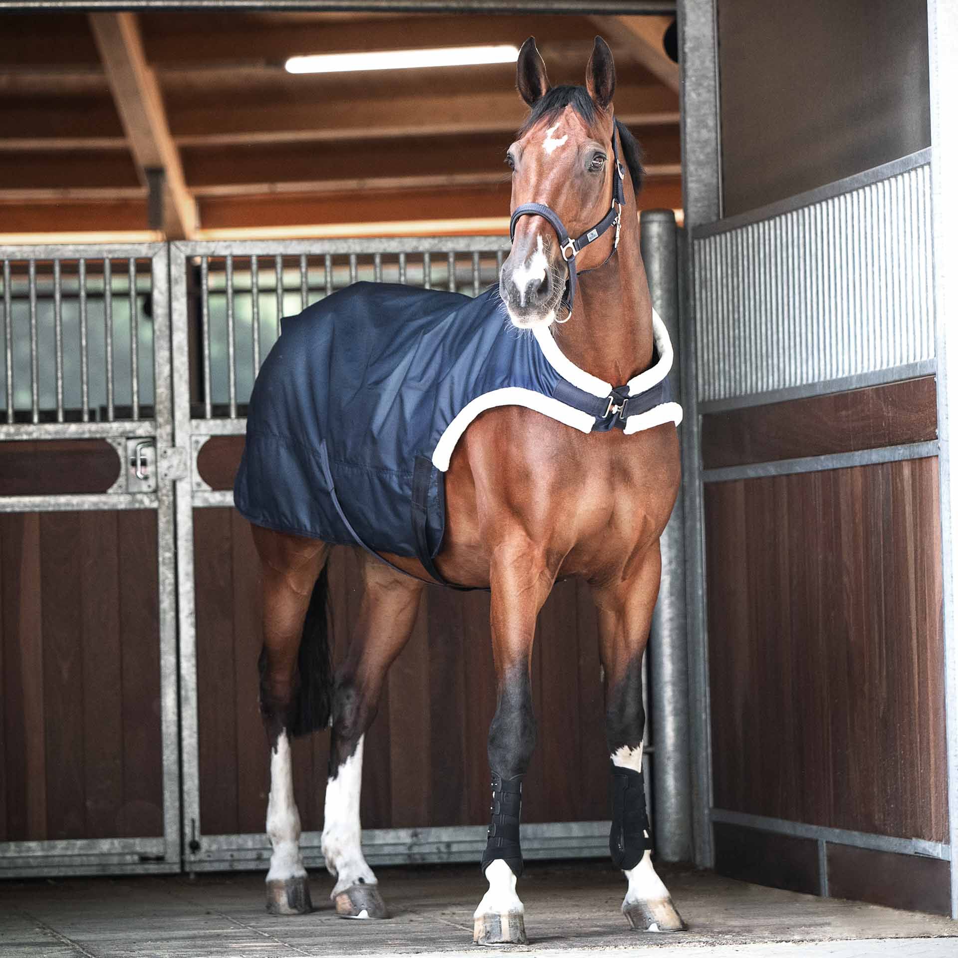 BUSSE Horse-Trainer Rug TRAINER 50 125 navy