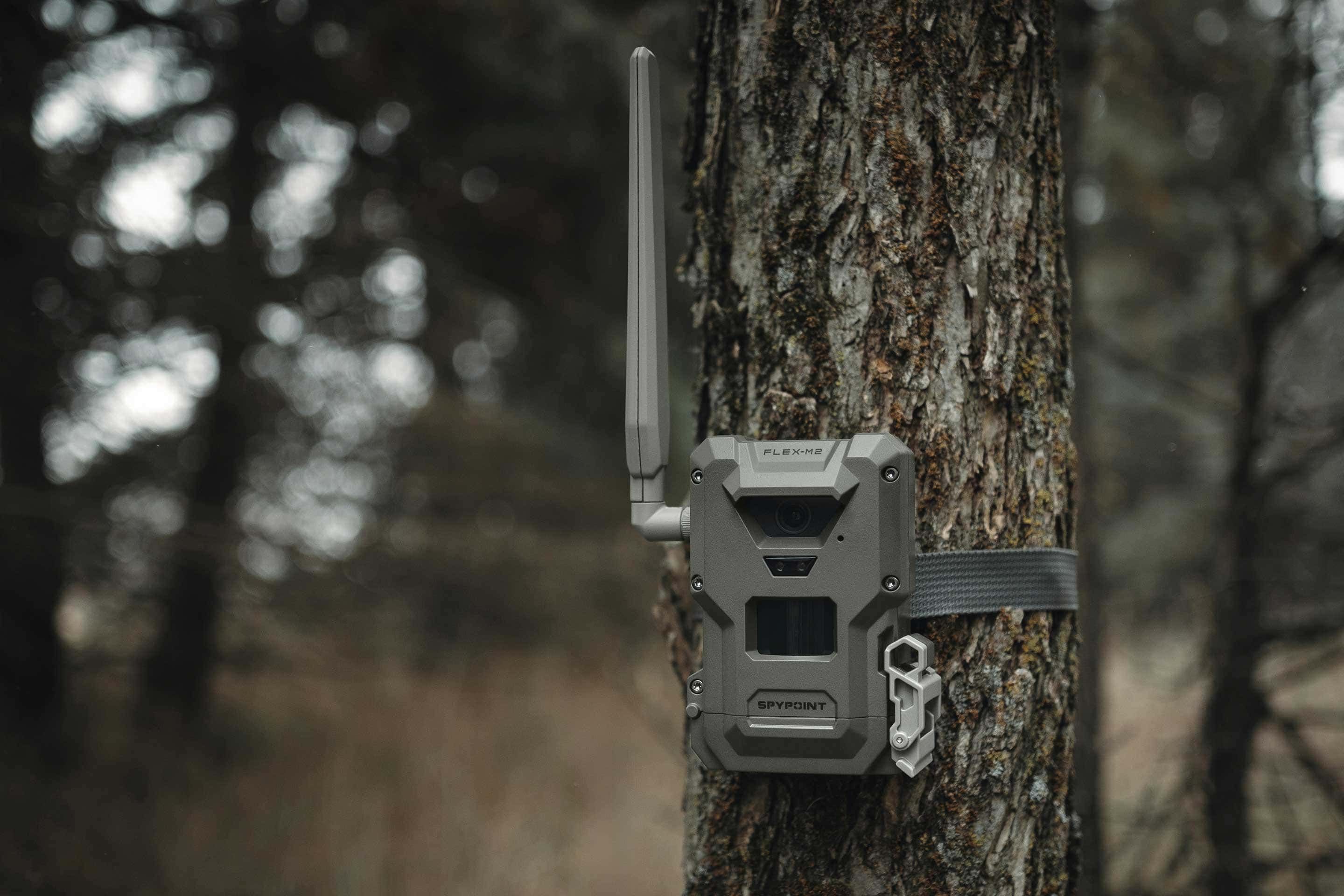 Caméra de chasse SPYPOINT FLEX-M2 avec transmission mobile, 32 MP