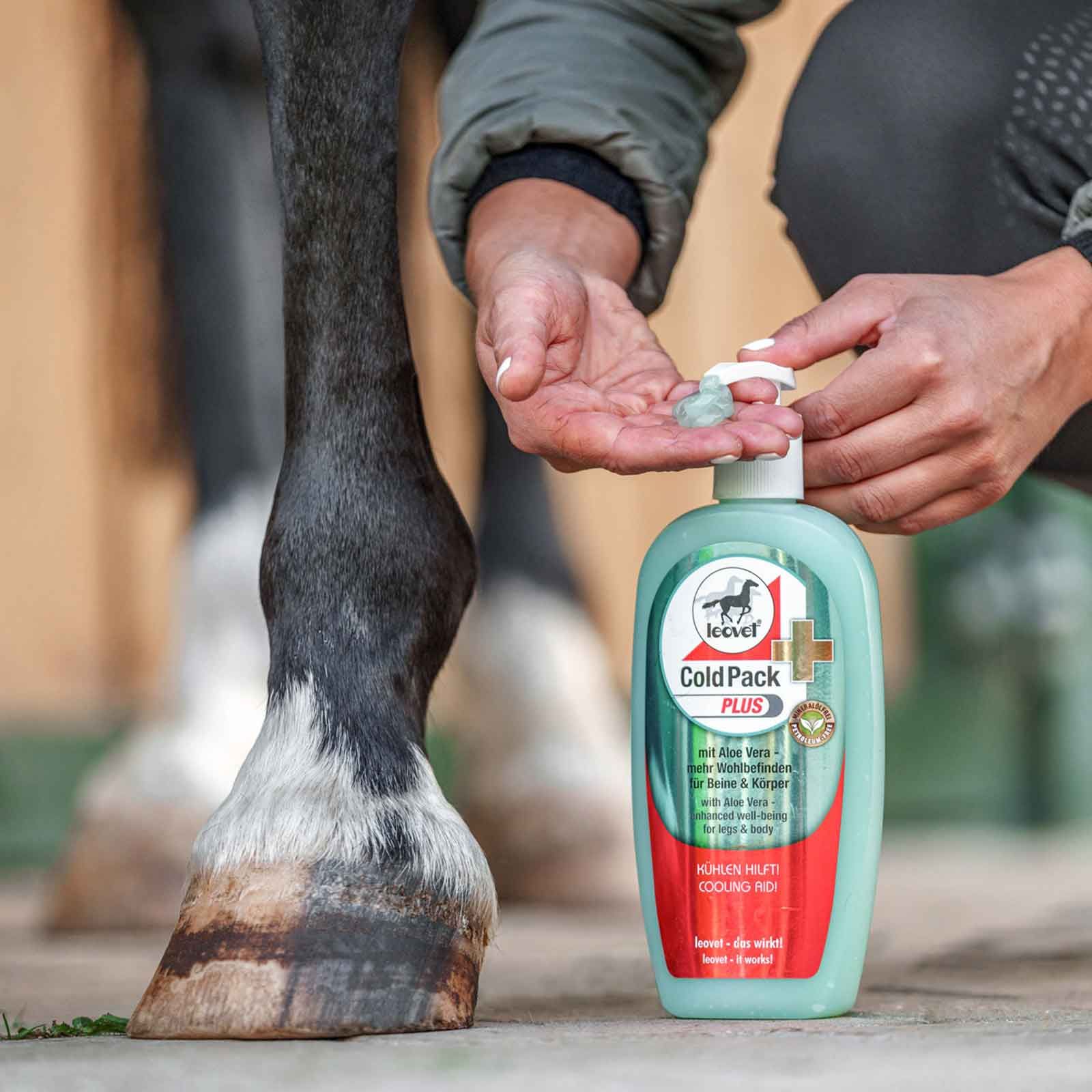 Leovet Cold Pack Plus Crema per cavalli con aloe vera, 500 ml, in uso
