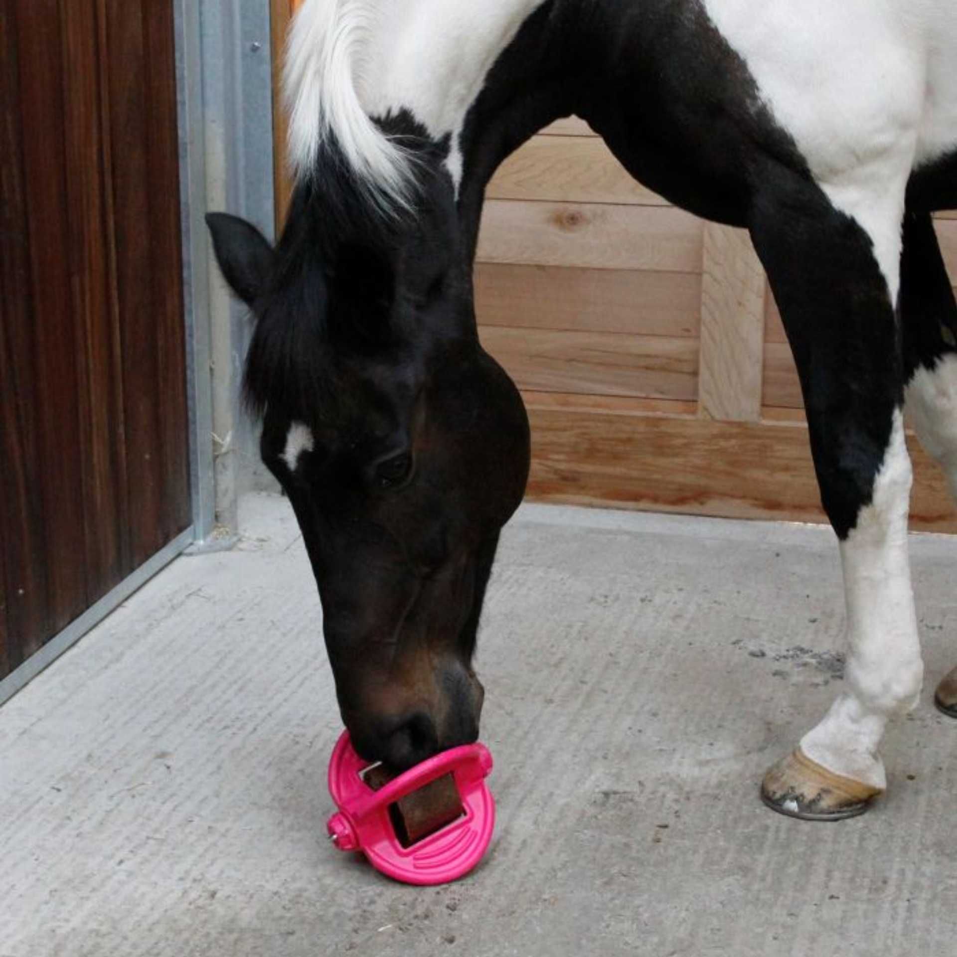 Bizzy Horse Bizzy Ball – Jouet pour cheval à la menthe poivrée, Rose