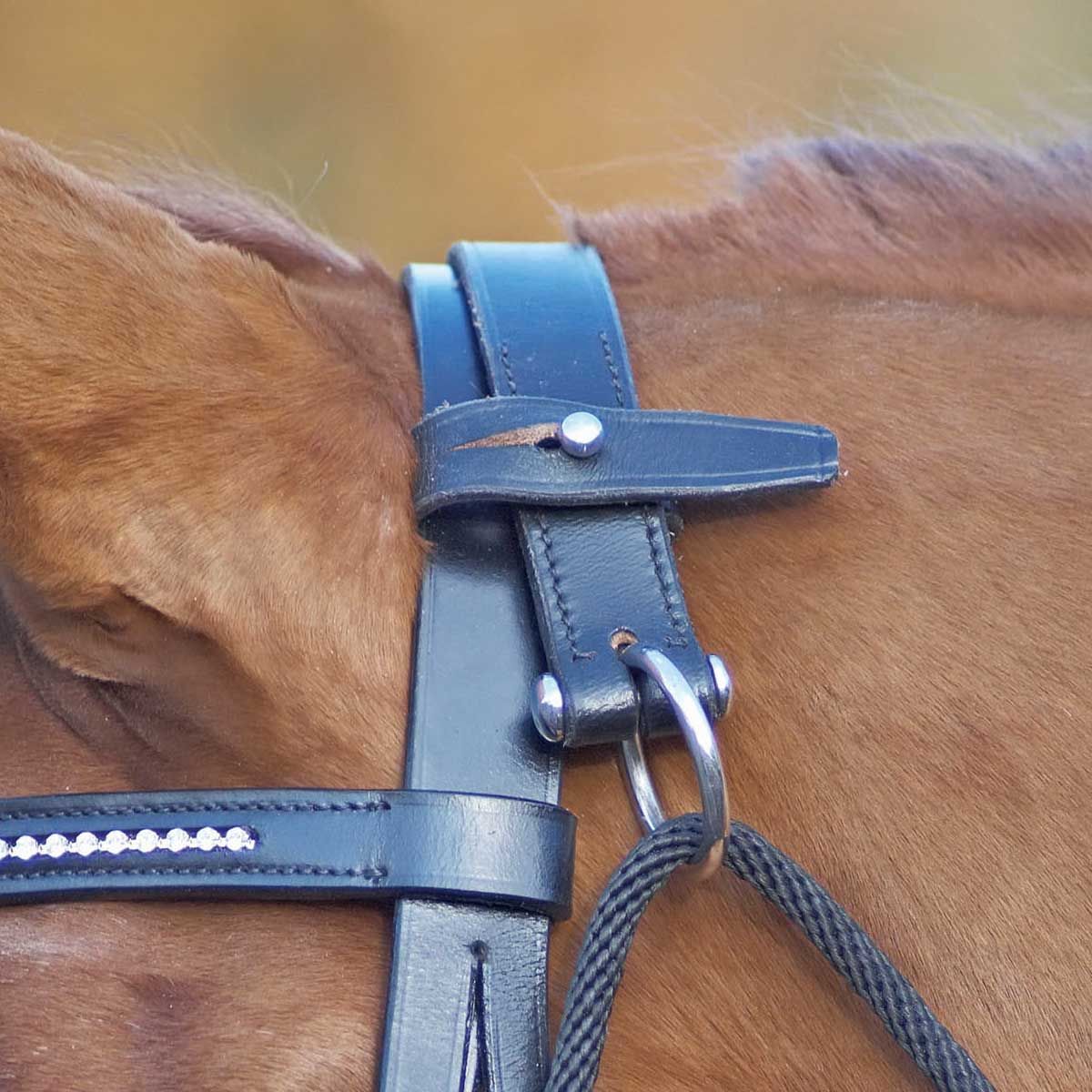 BUSSE Chambon BASIC Hilfszügel für Pferde, schwarz/silber, im Einsatz, Verschluss